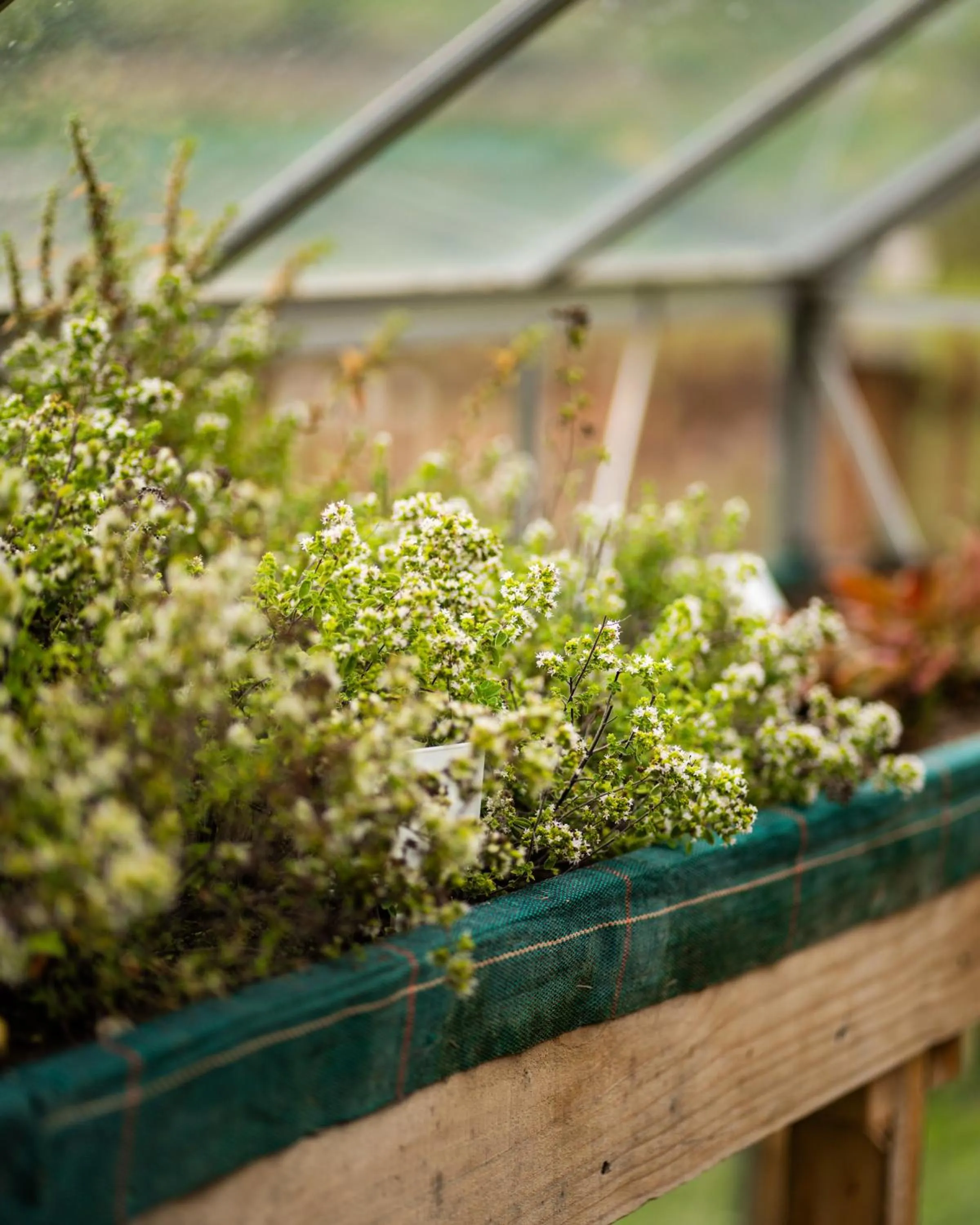 Garden in Dosłońce Resort Wellness & Farm