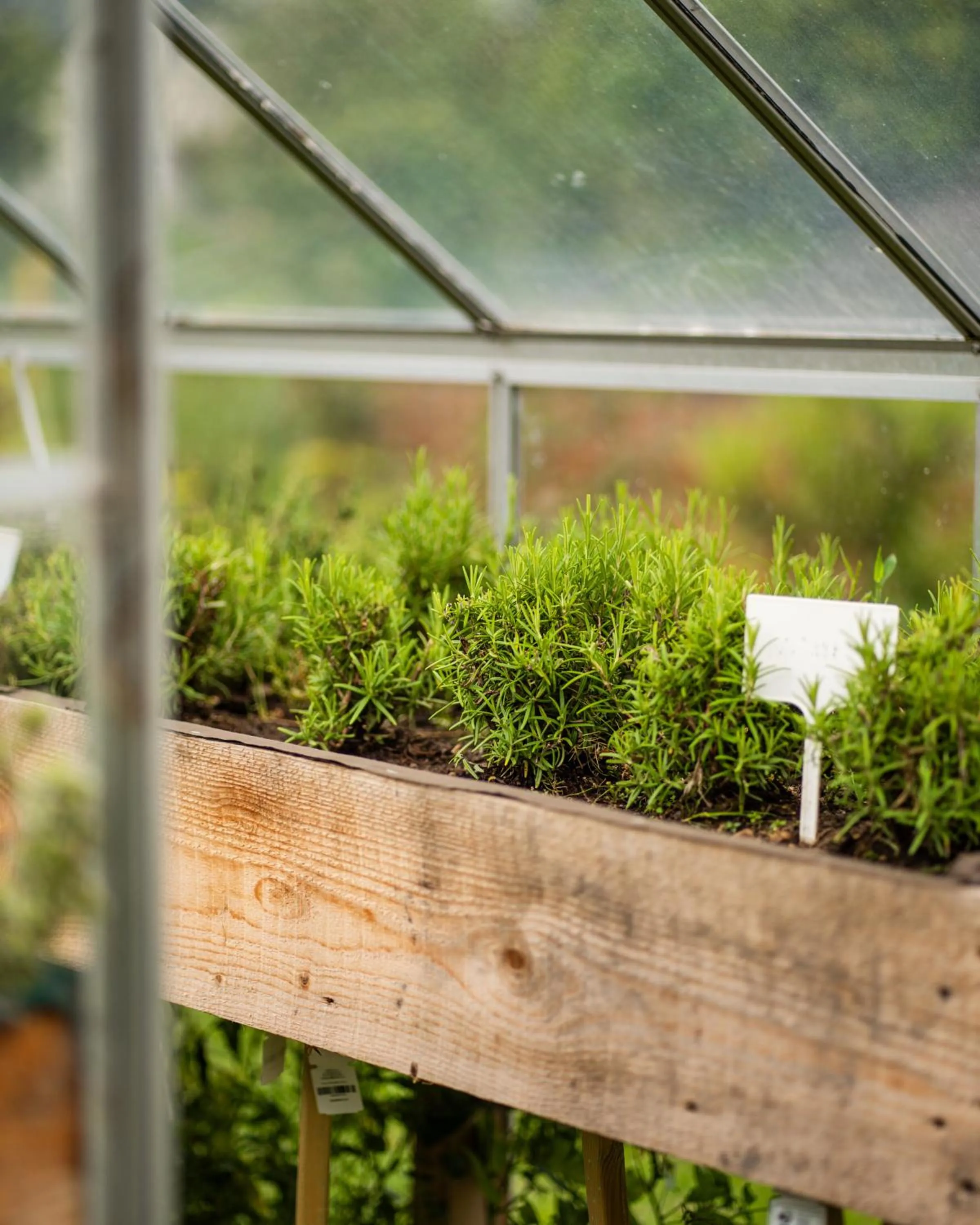 Garden in Dosłońce Resort Wellness & Farm