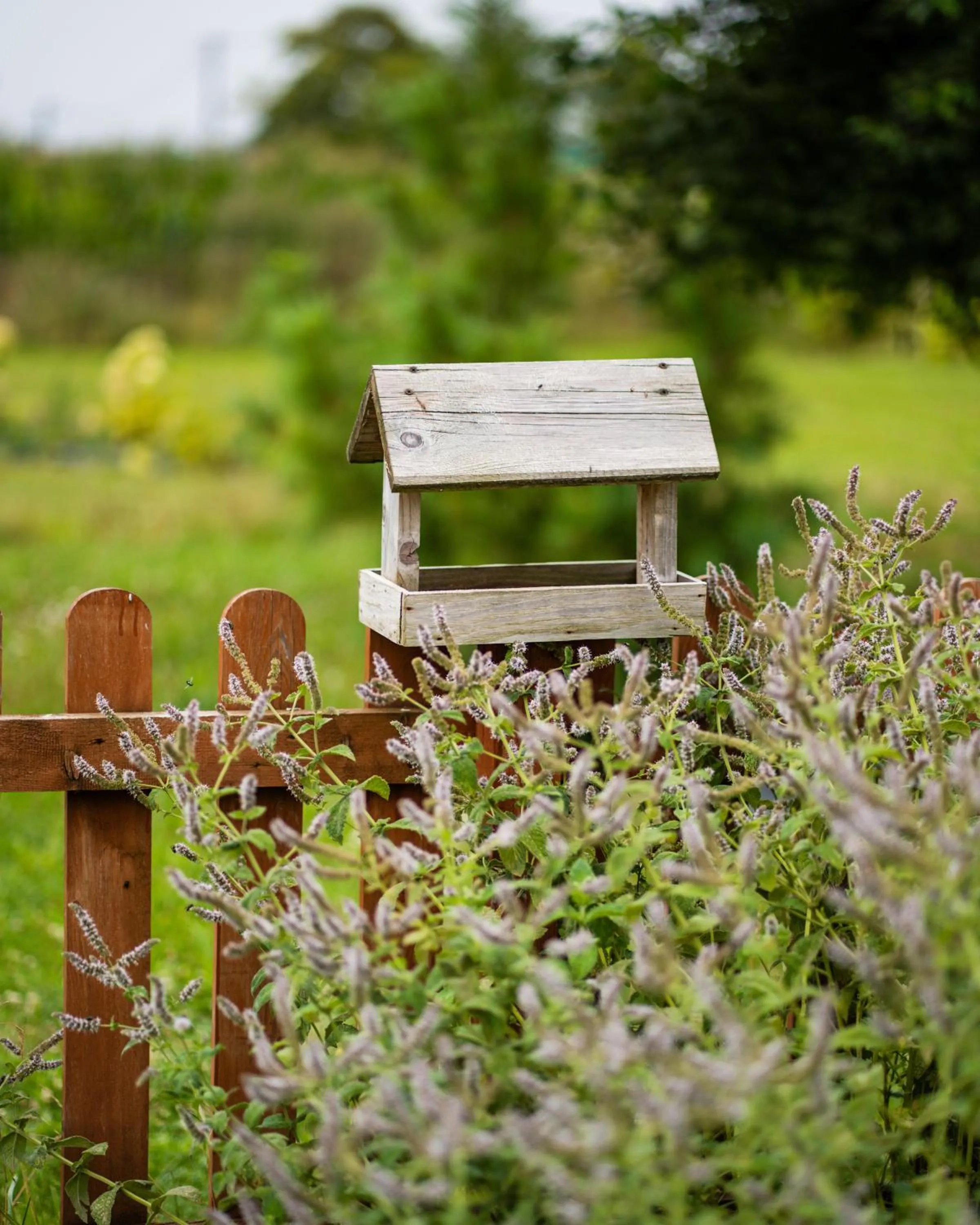 Garden in Dosłońce Resort Wellness & Farm