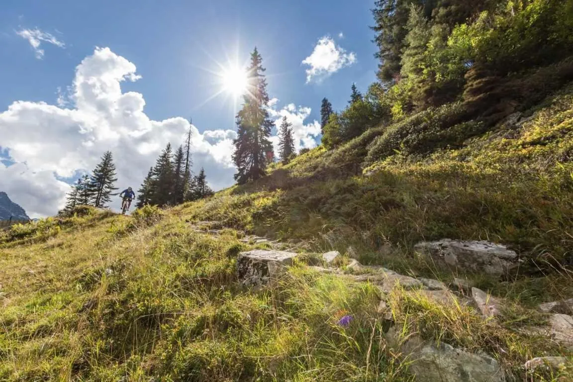 Natural landscape in T3 Gasthof Spullersee