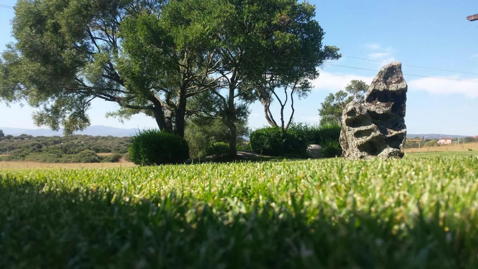 Garden in B&B Majore