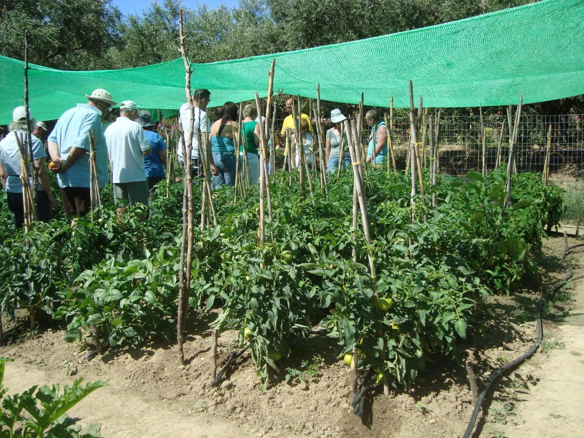 Staff in Castelli Hotel-Adults Only