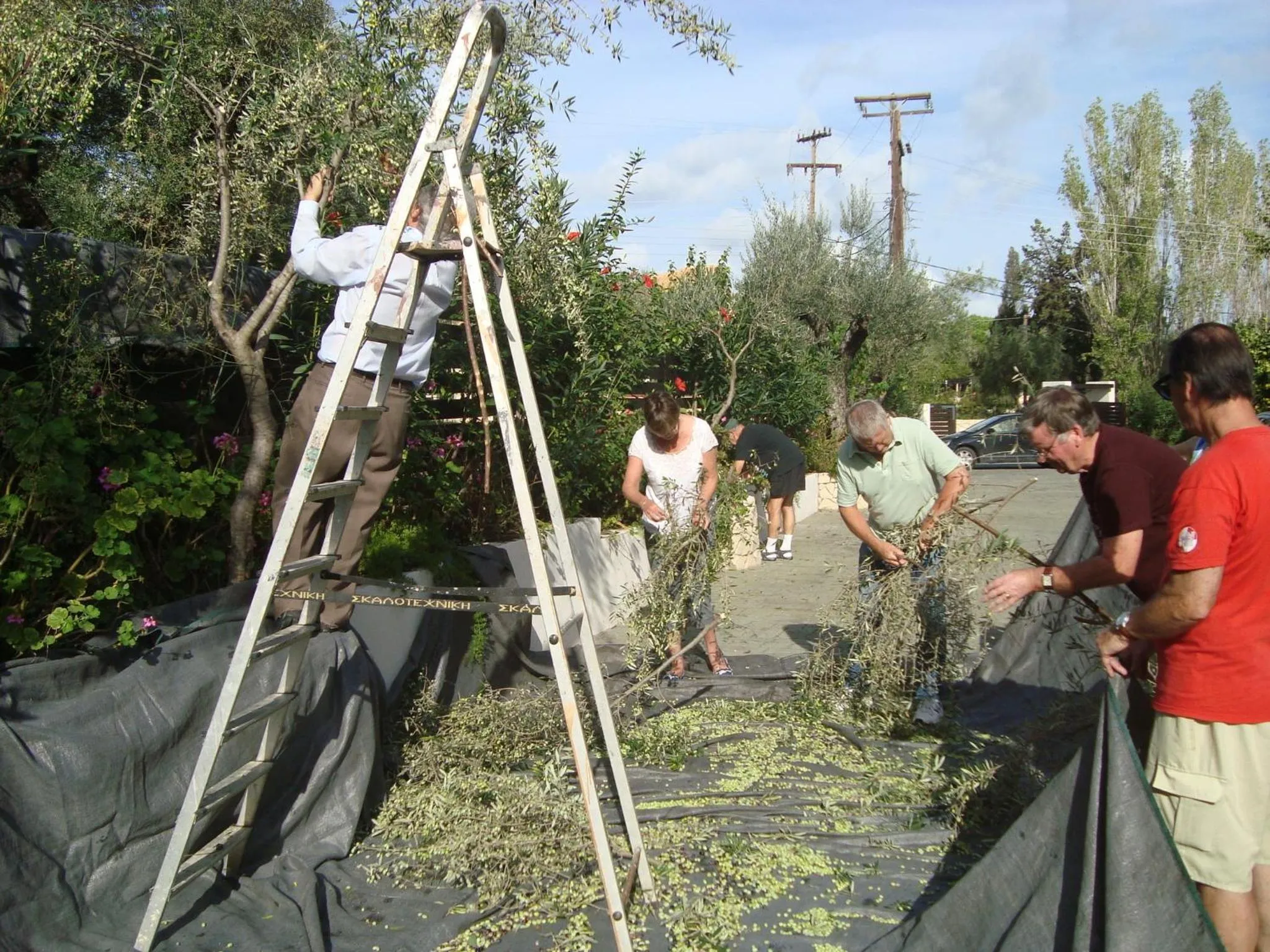 Staff in Castelli Hotel-Adults Only