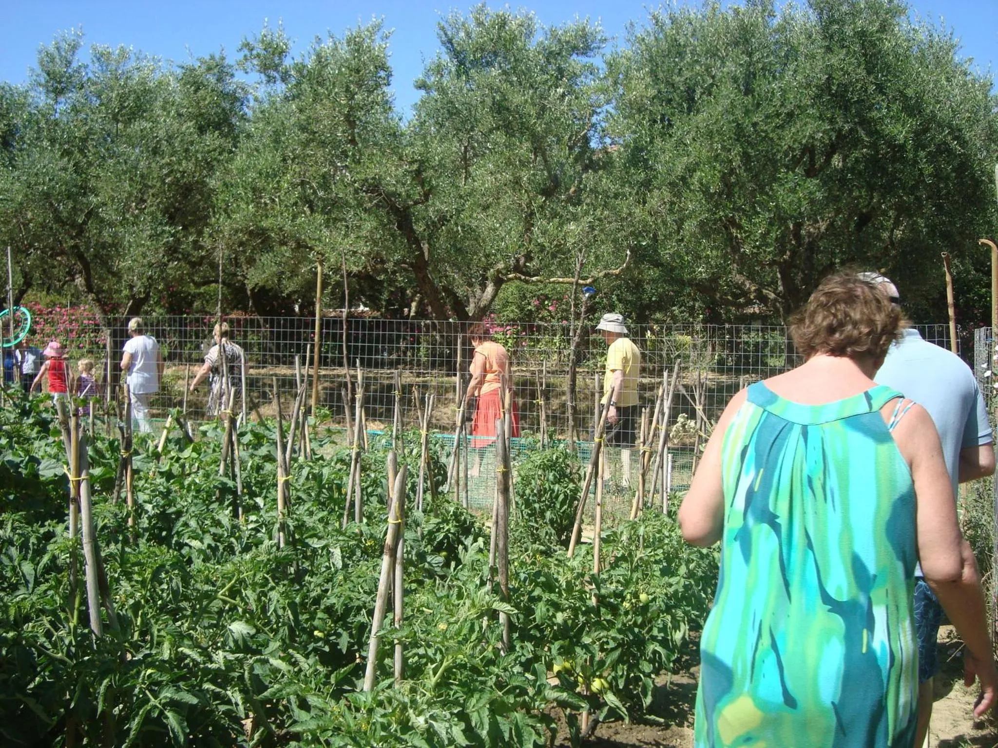 group of guests in Castelli Hotel-Adults Only