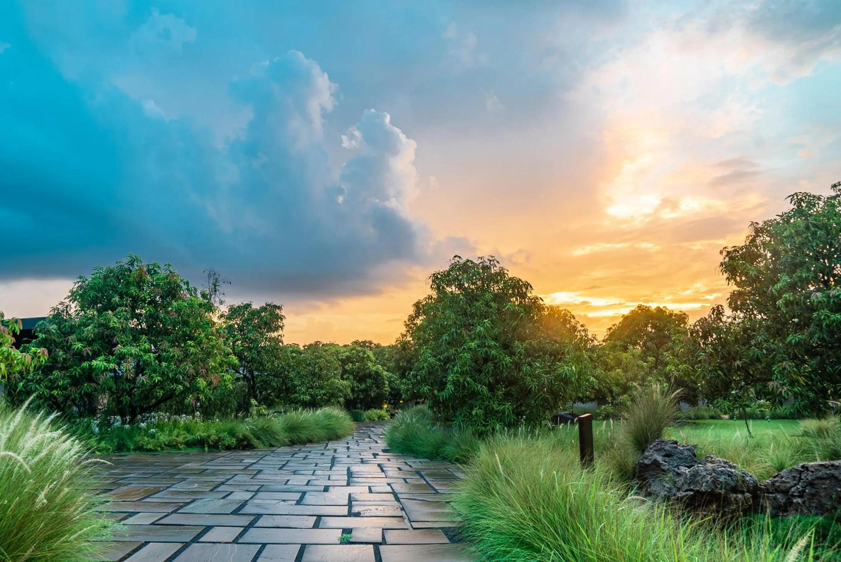 Natural landscape in Woods at Sasan