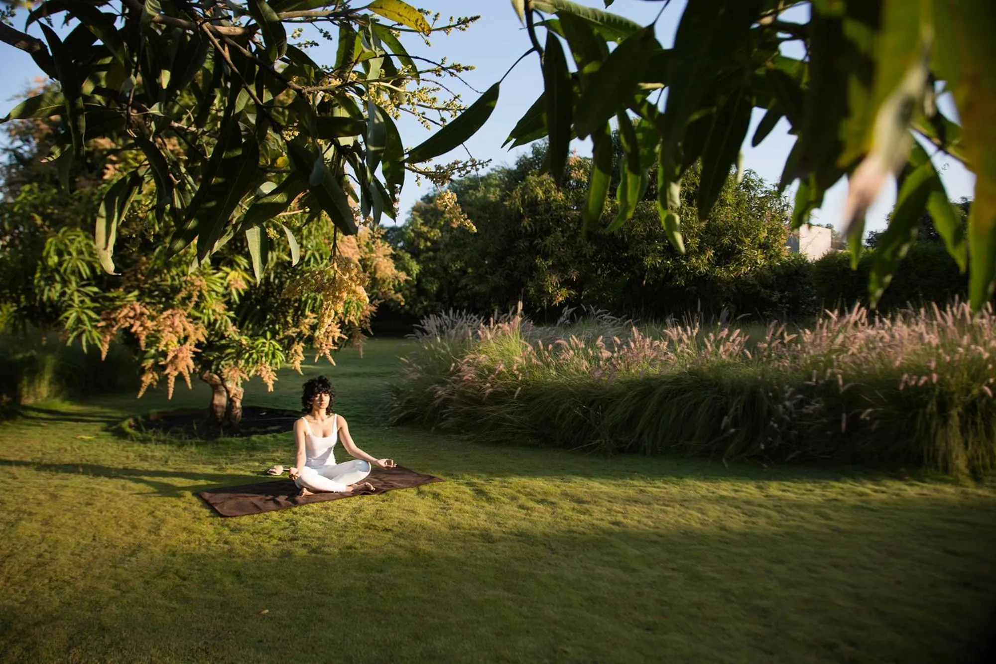 Natural landscape in Woods at Sasan