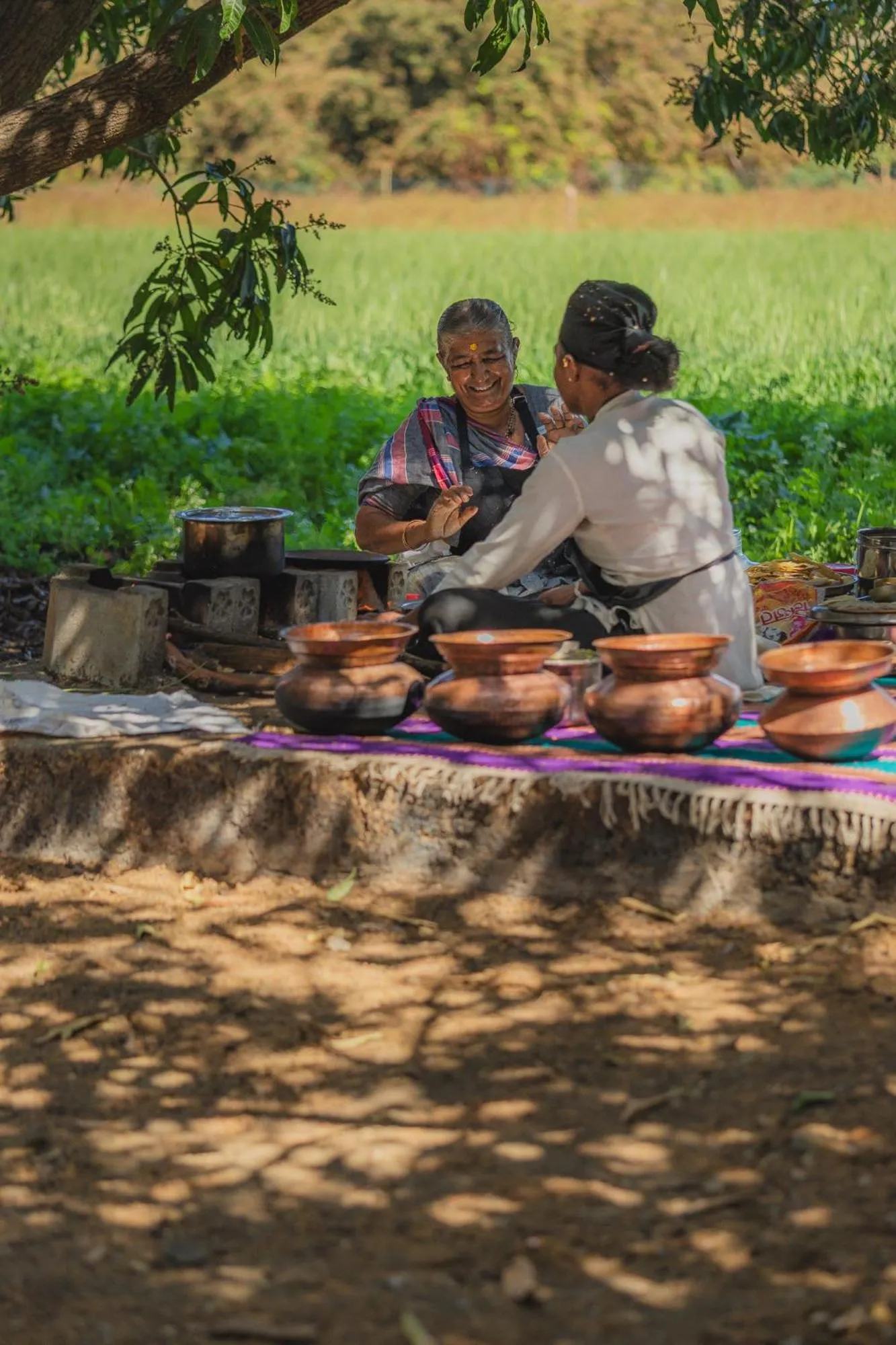 Natural landscape in Woods at Sasan