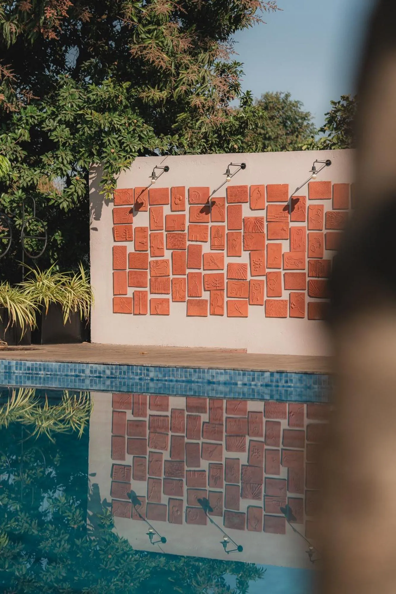 Swimming pool in Woods at Sasan