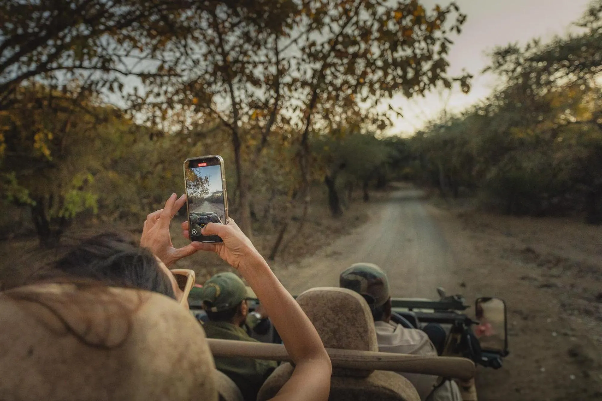 Natural landscape in Woods at Sasan