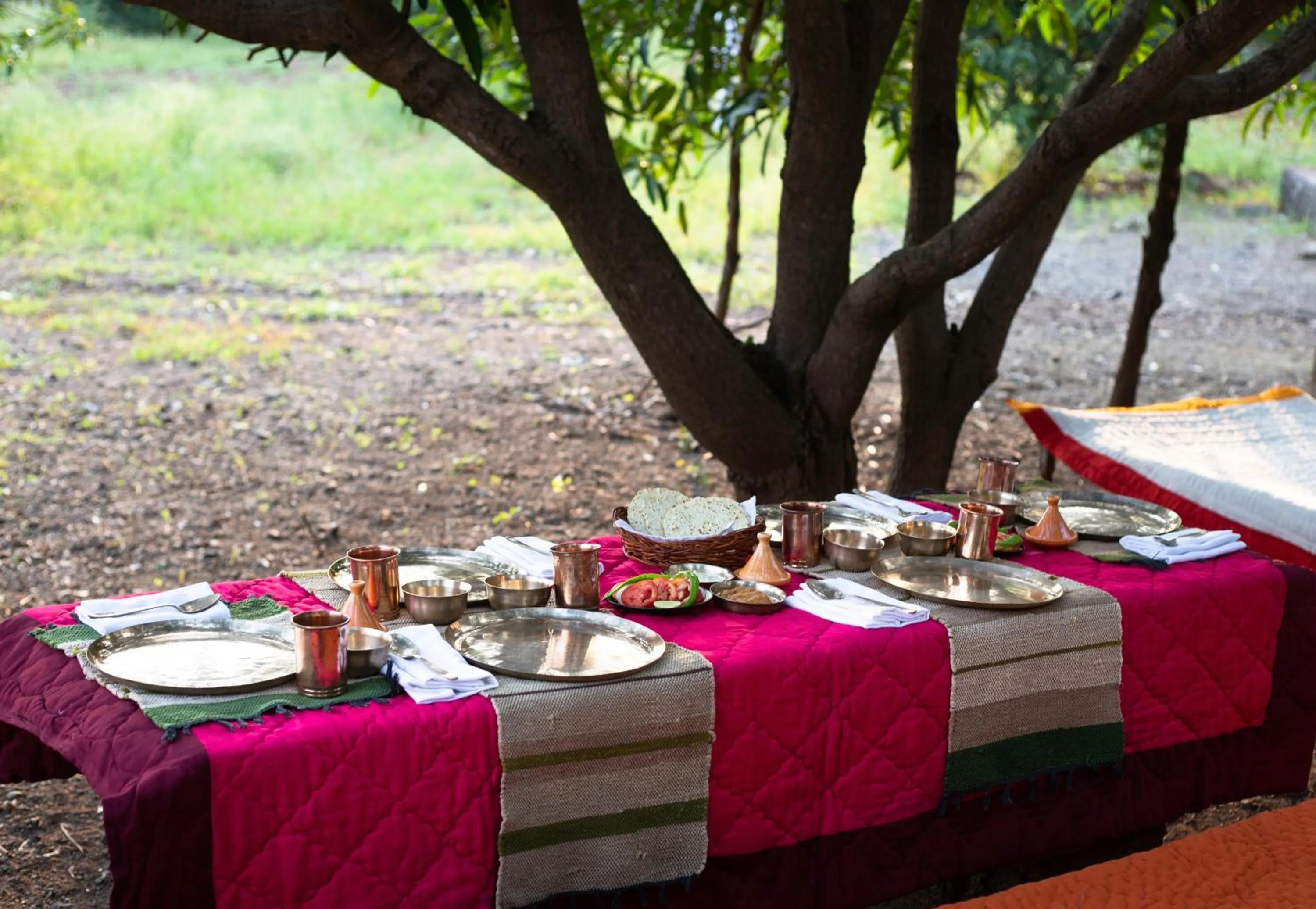 Off site in Woods at Sasan