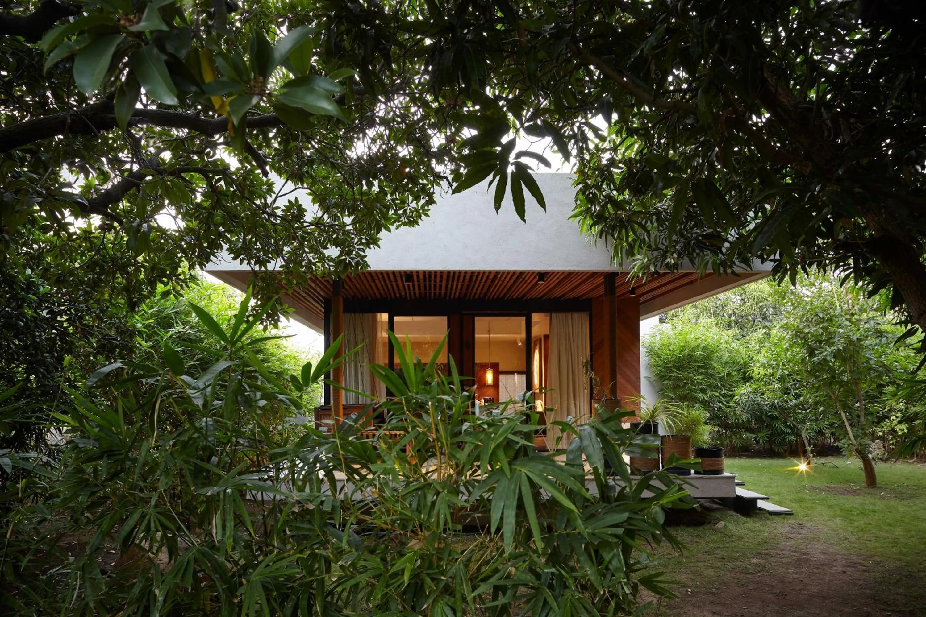 Natural landscape in Woods at Sasan