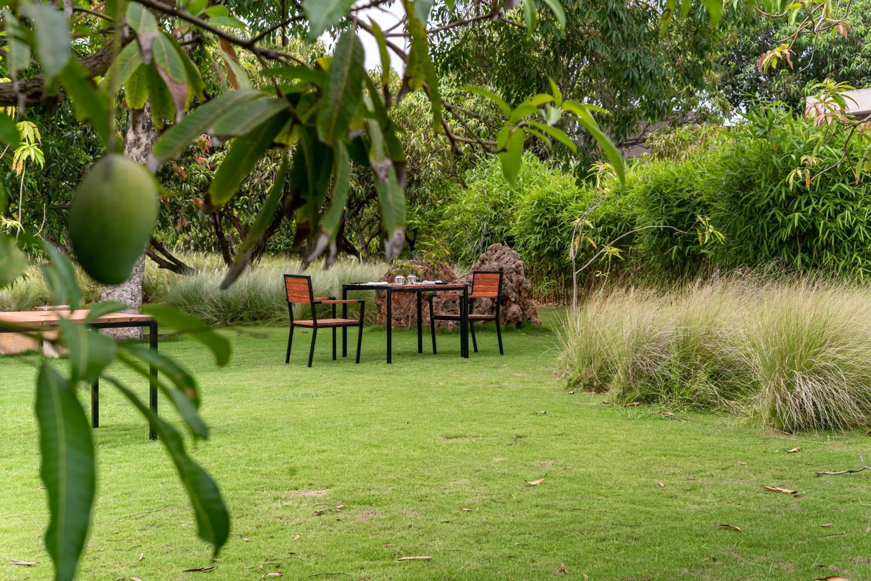 Natural landscape in Woods at Sasan