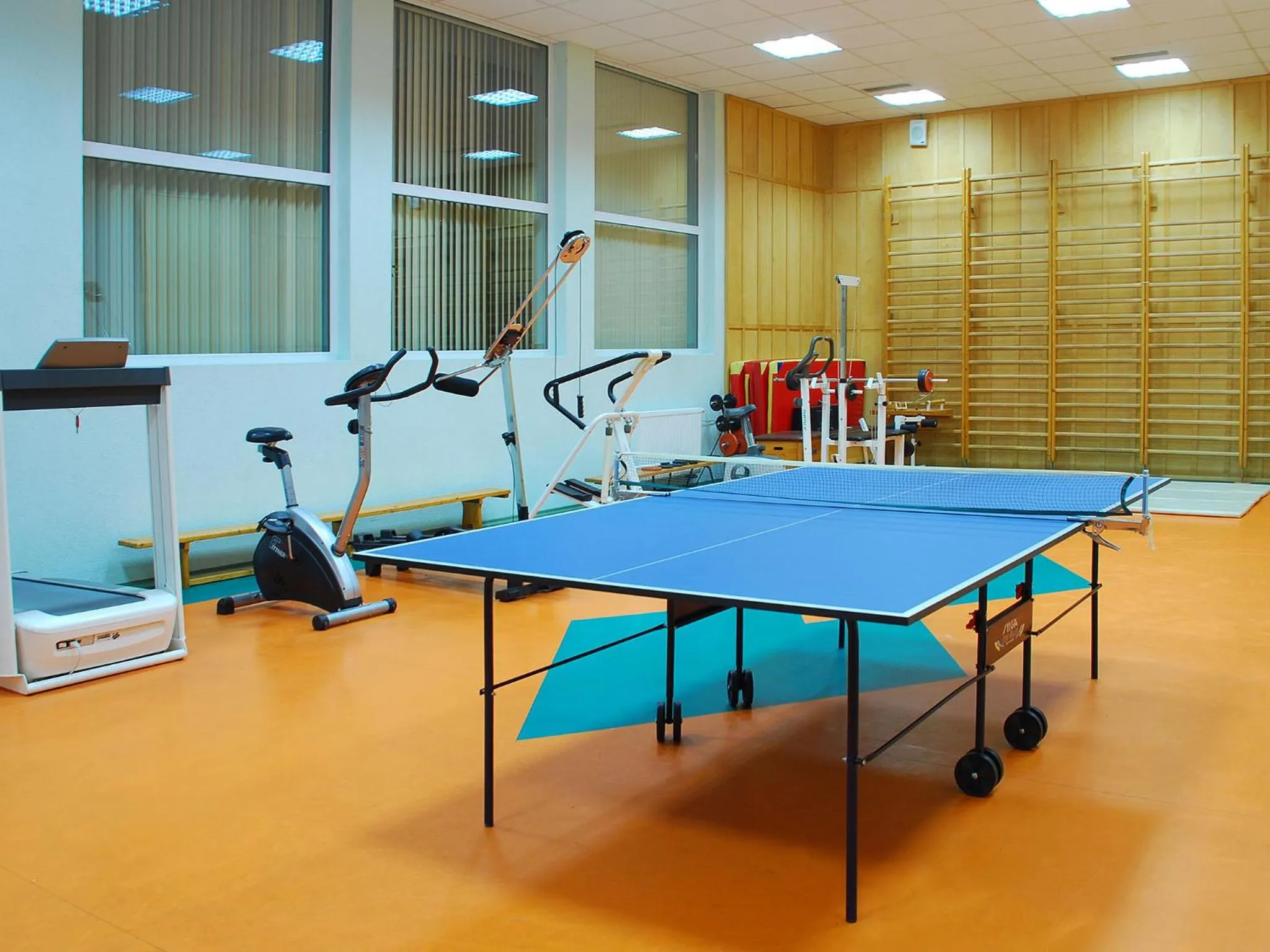 Activities in Villa Barbara