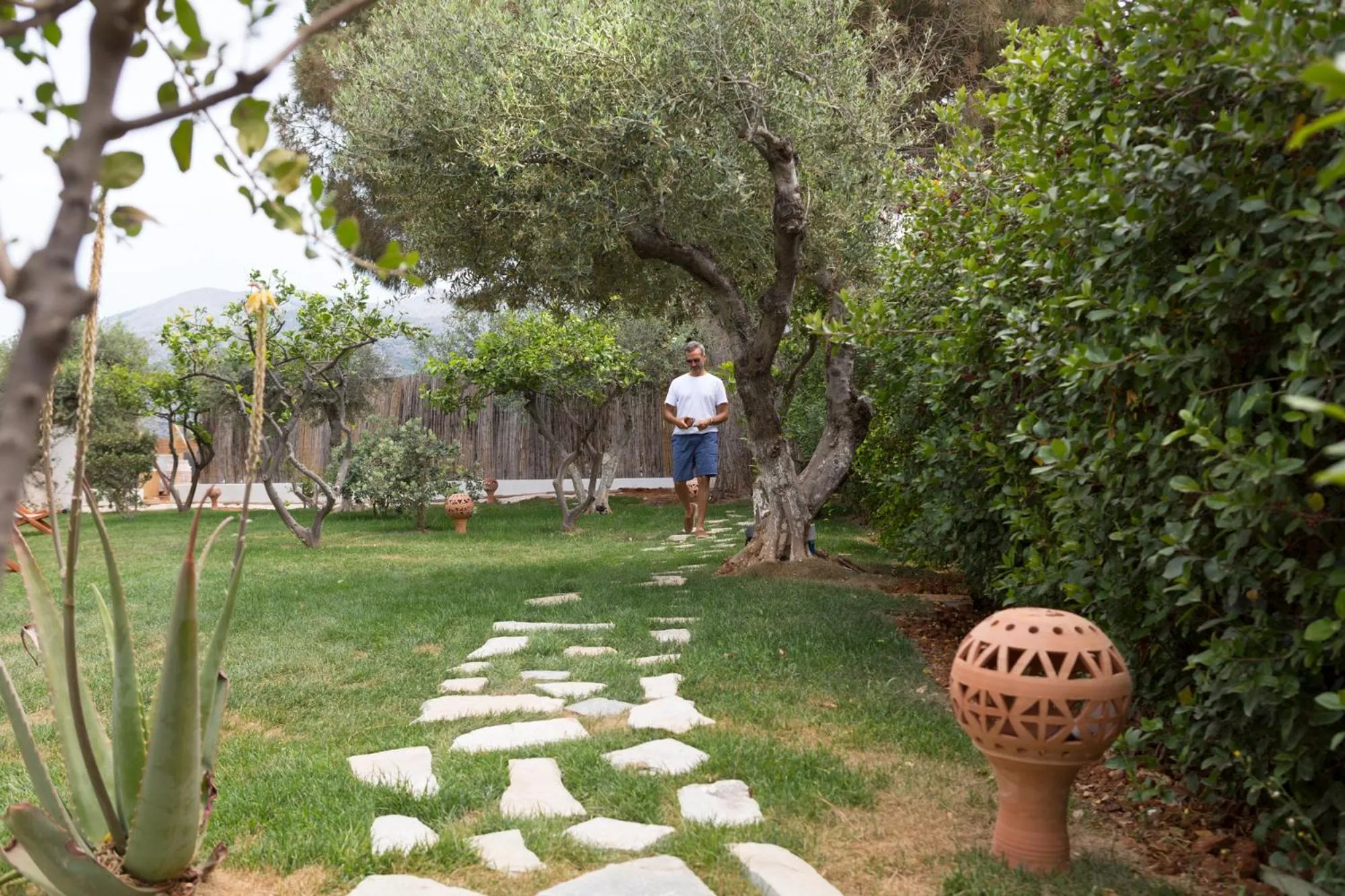 Garden in Kalypso Hotel