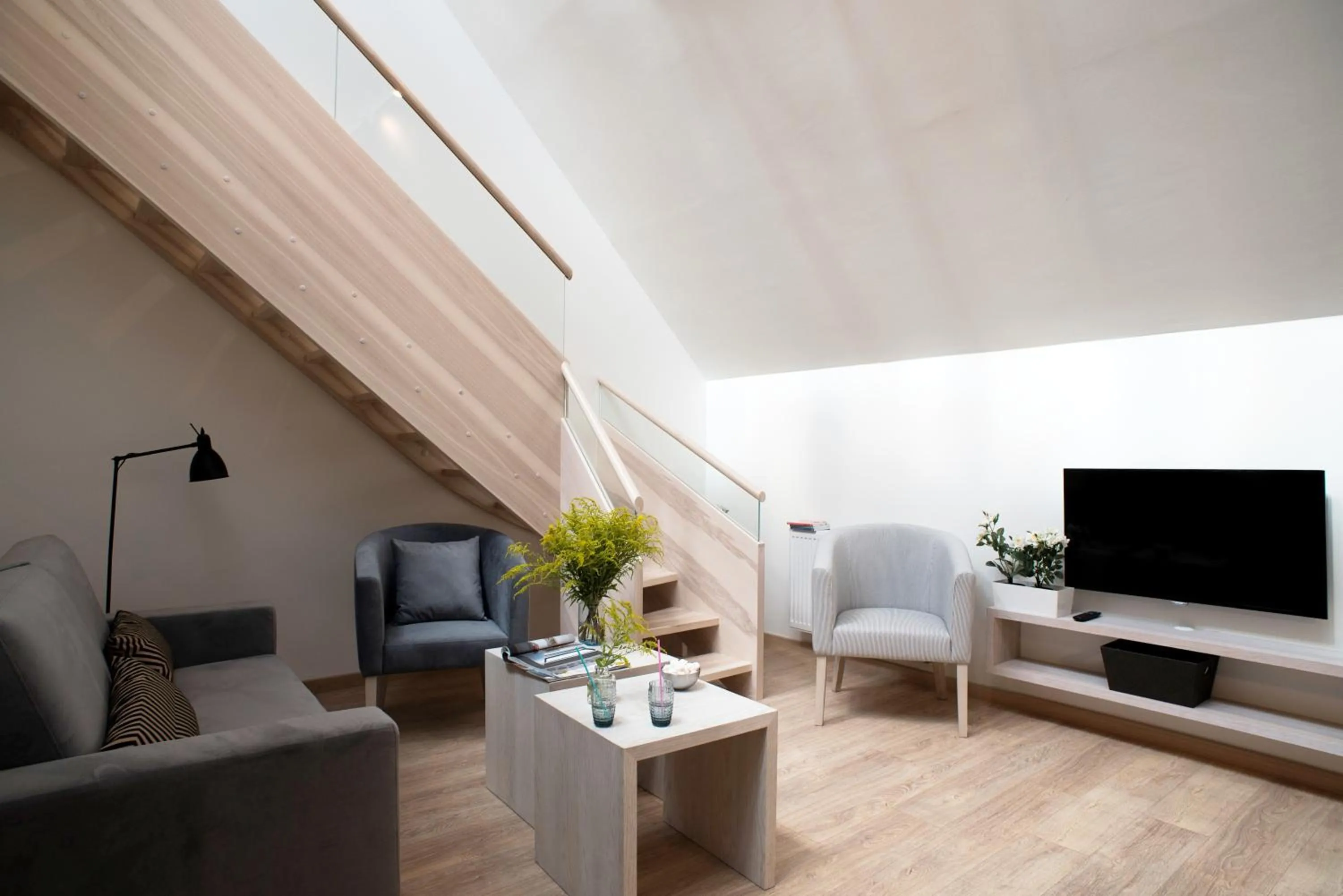 TV and multimedia in Belle Epoque Residence