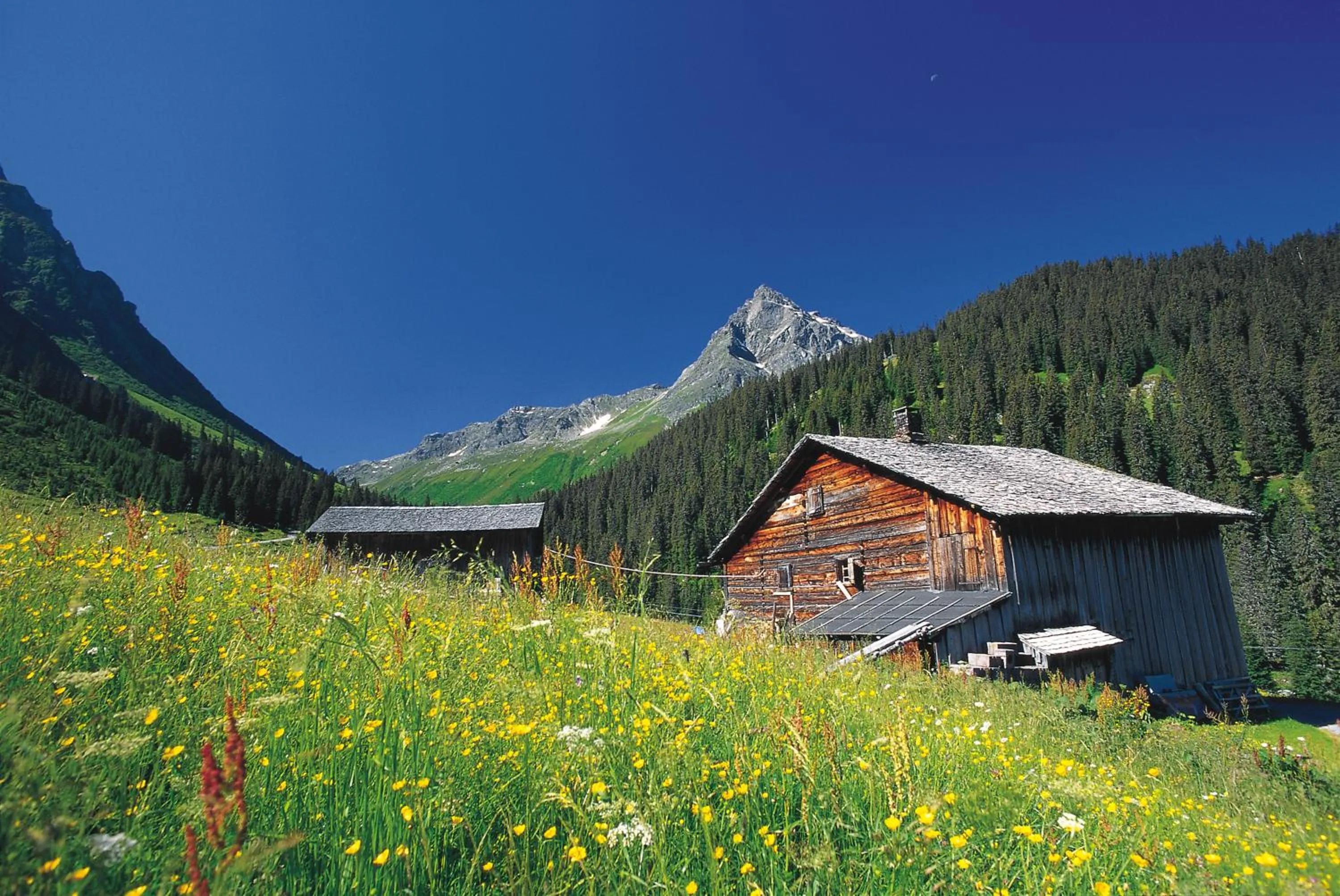 Natural landscape in T3 Alpenhotel Garfrescha