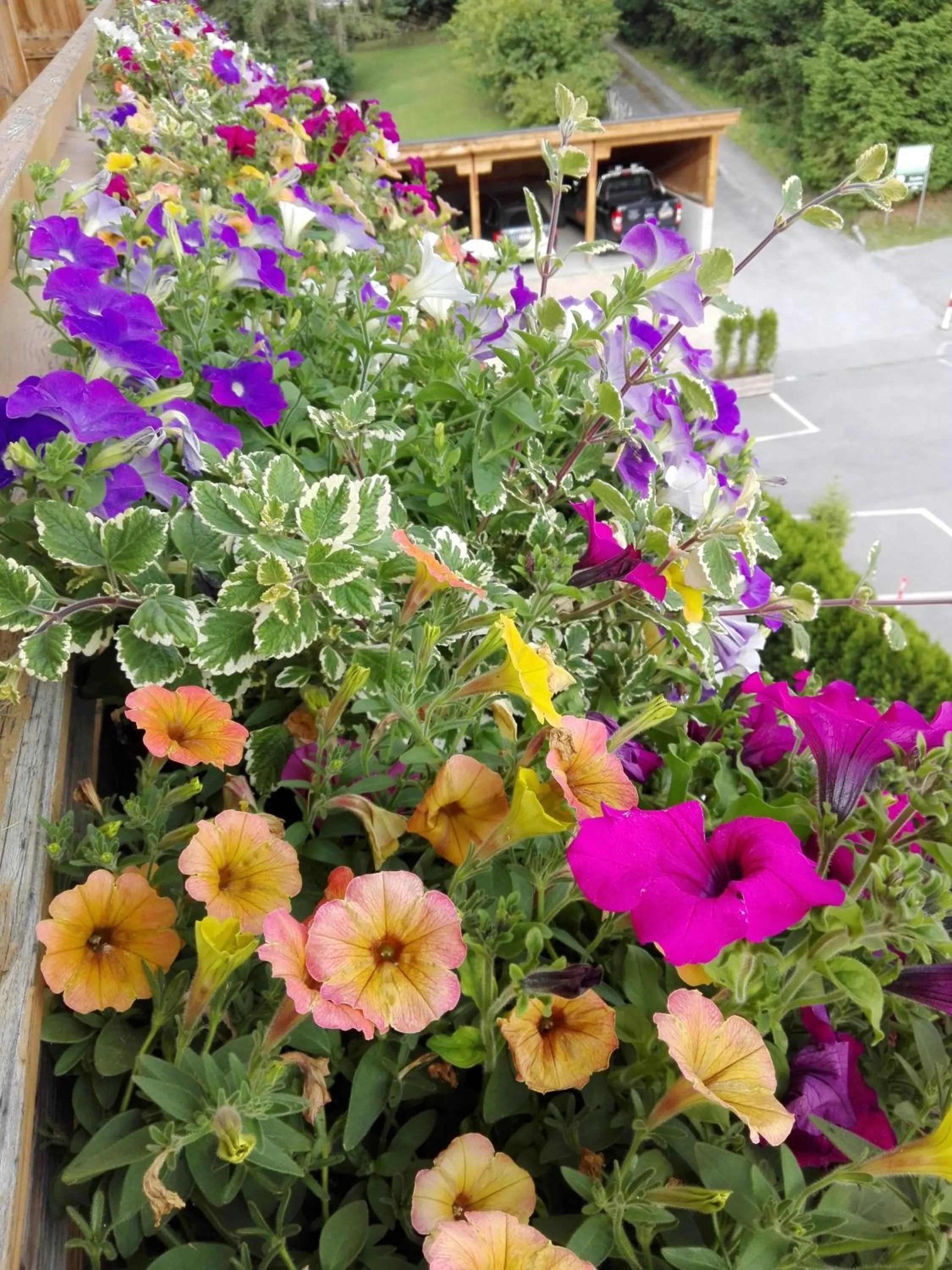 View (from property/room) in Haus Groder