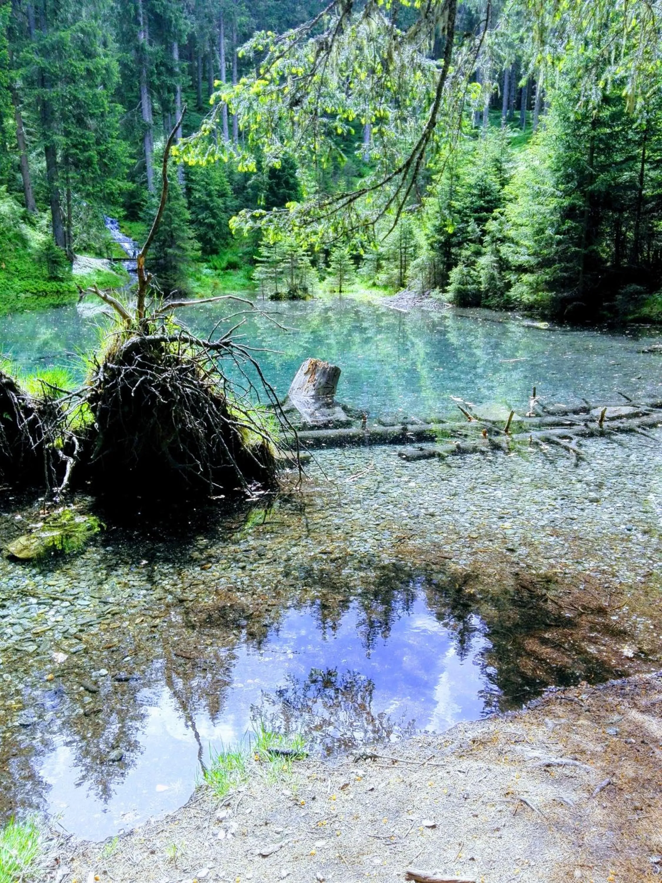 Natural landscape in Haus Groder