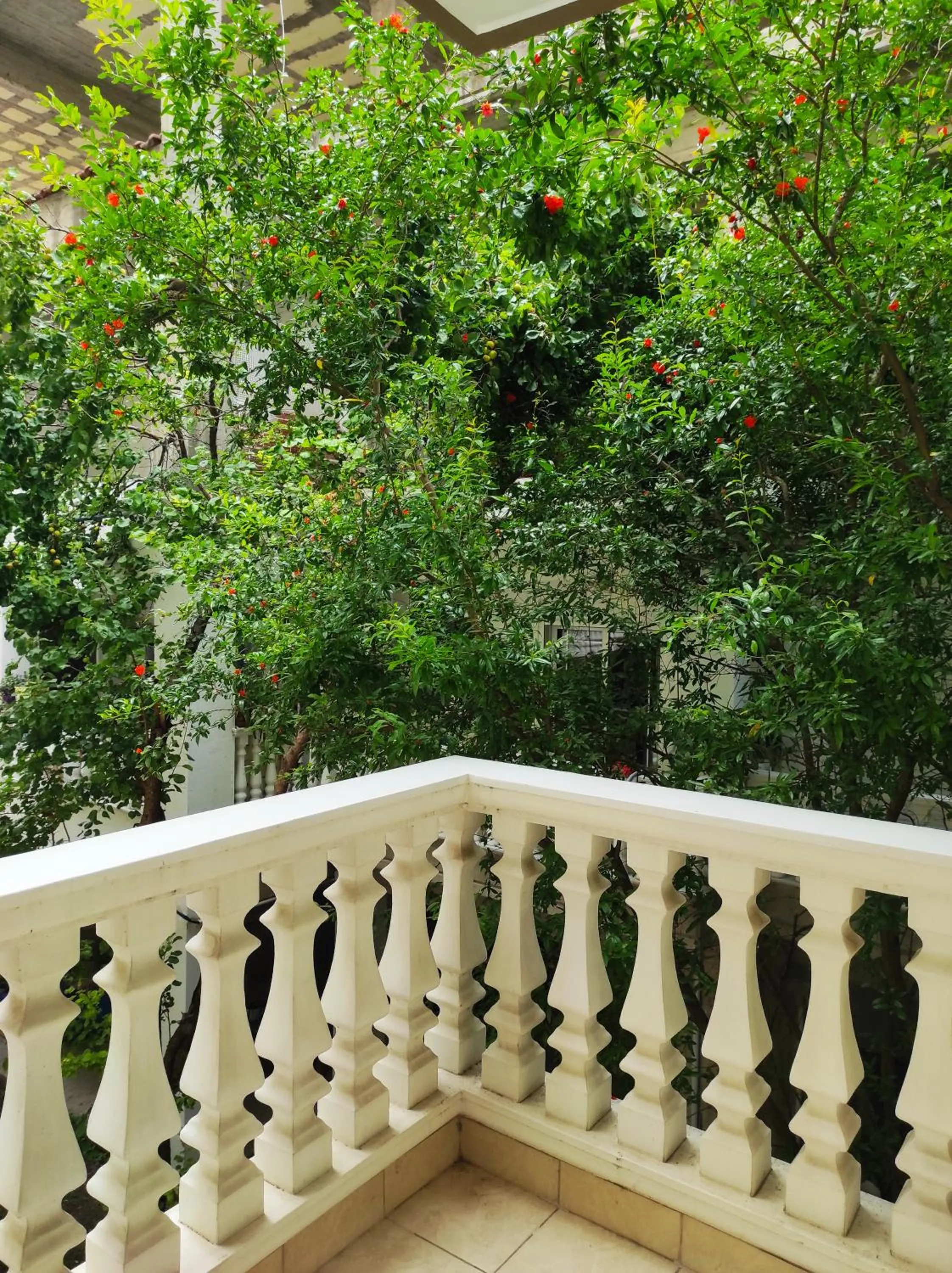 Balcony/Terrace in Rg Status Hotel