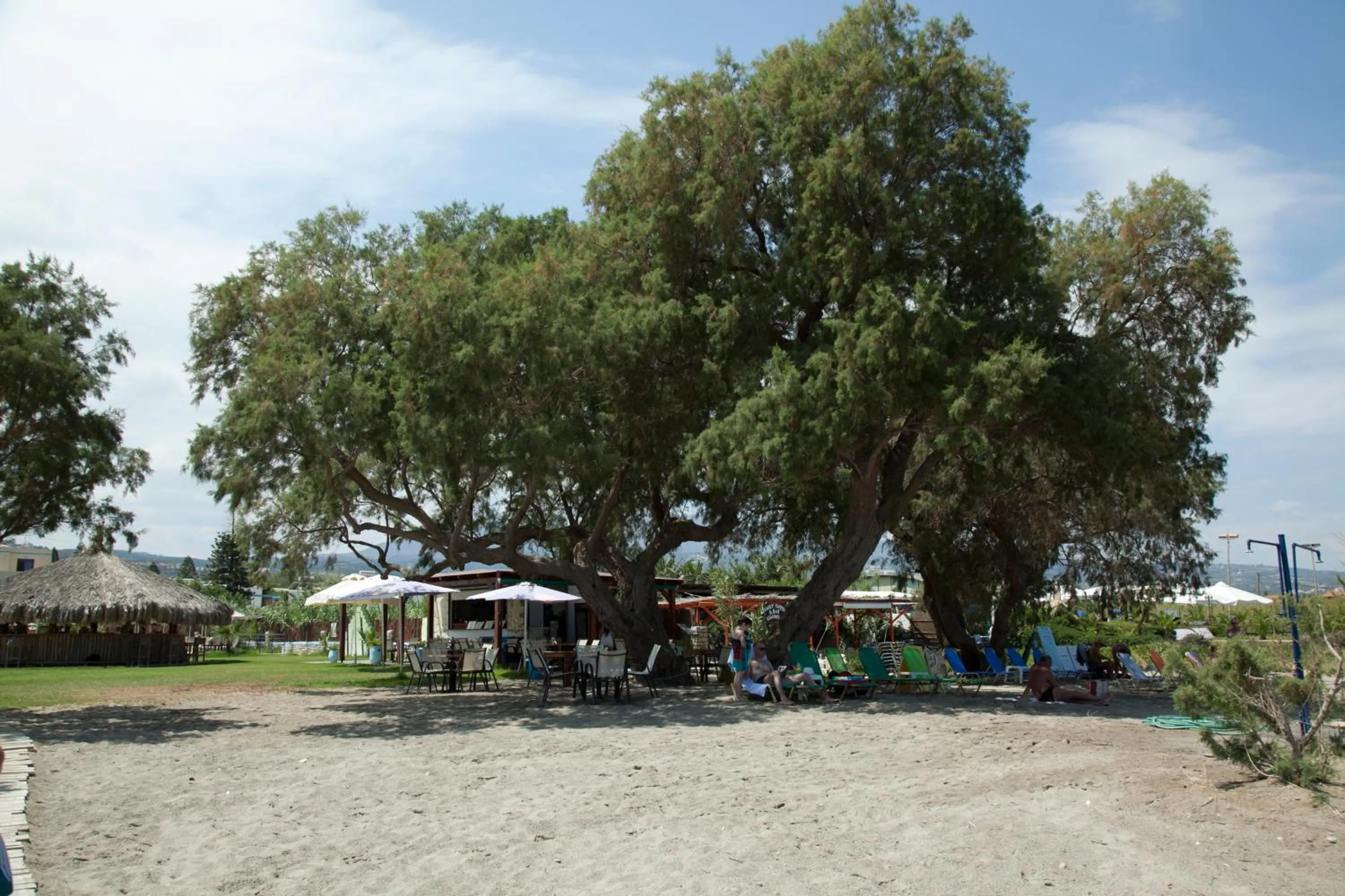 Natural landscape in Gold Apartments