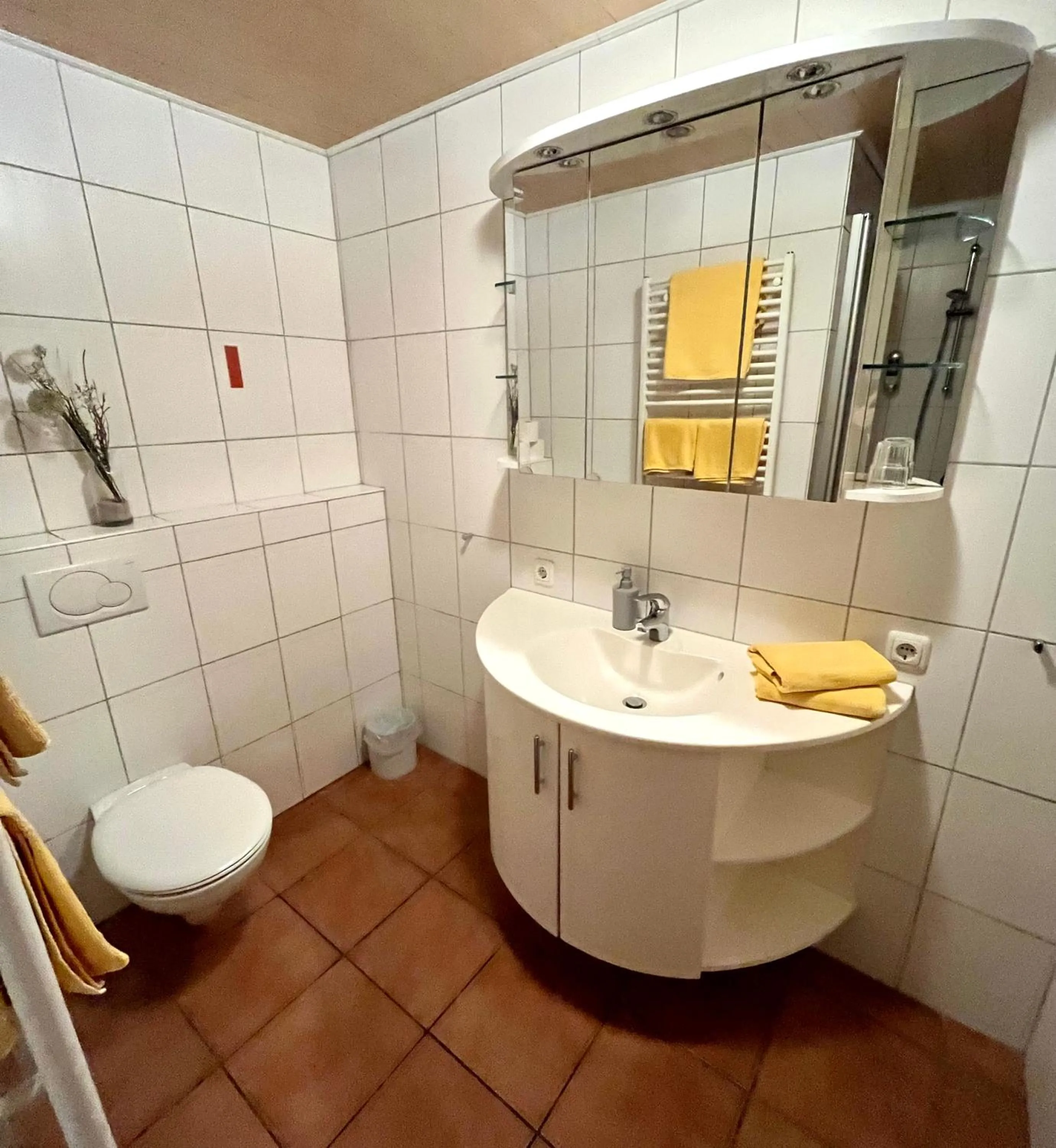 Bath in Landhotel Esen