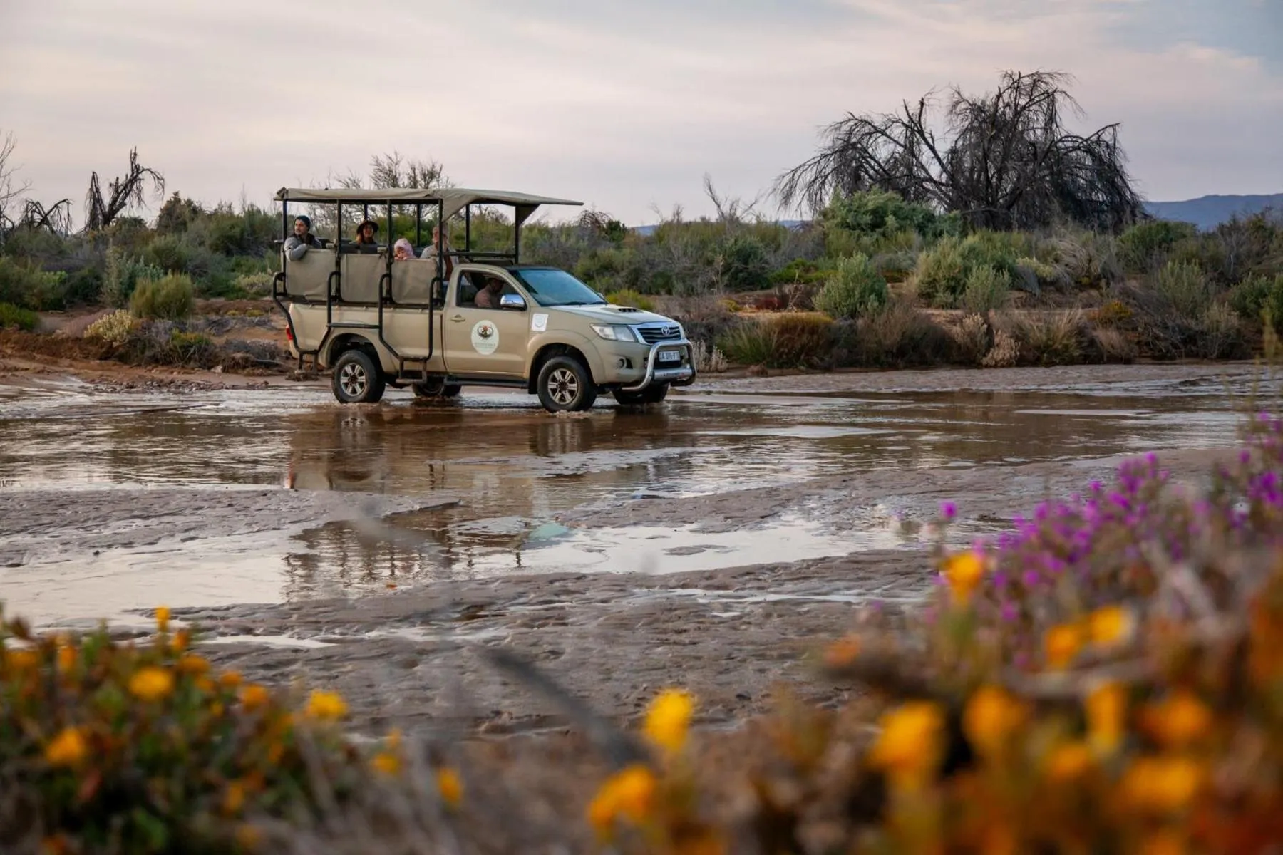 Other in Inverdoorn Game Reserve Lodge