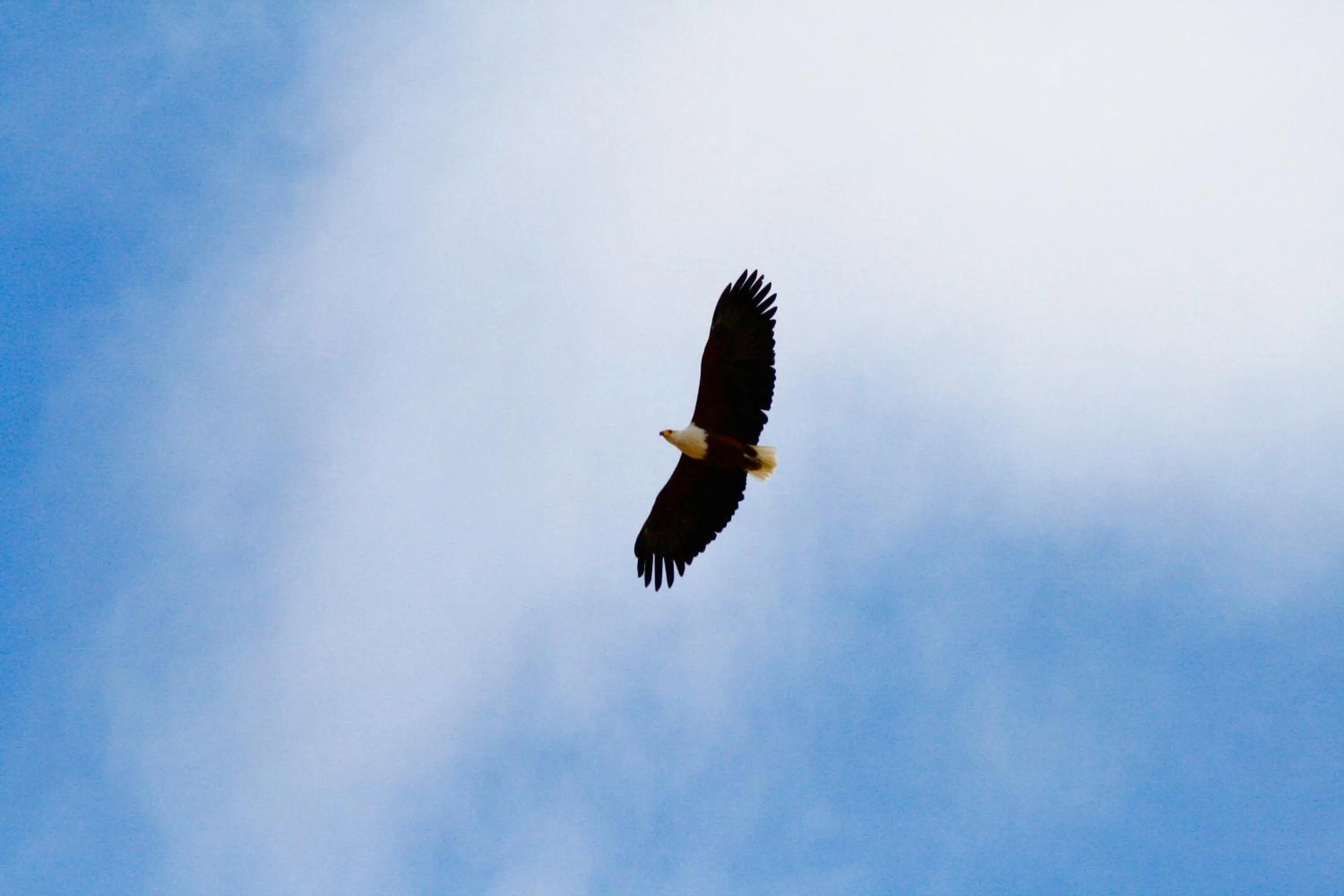 Bird's eye view in Inverdoorn Game Reserve Lodge