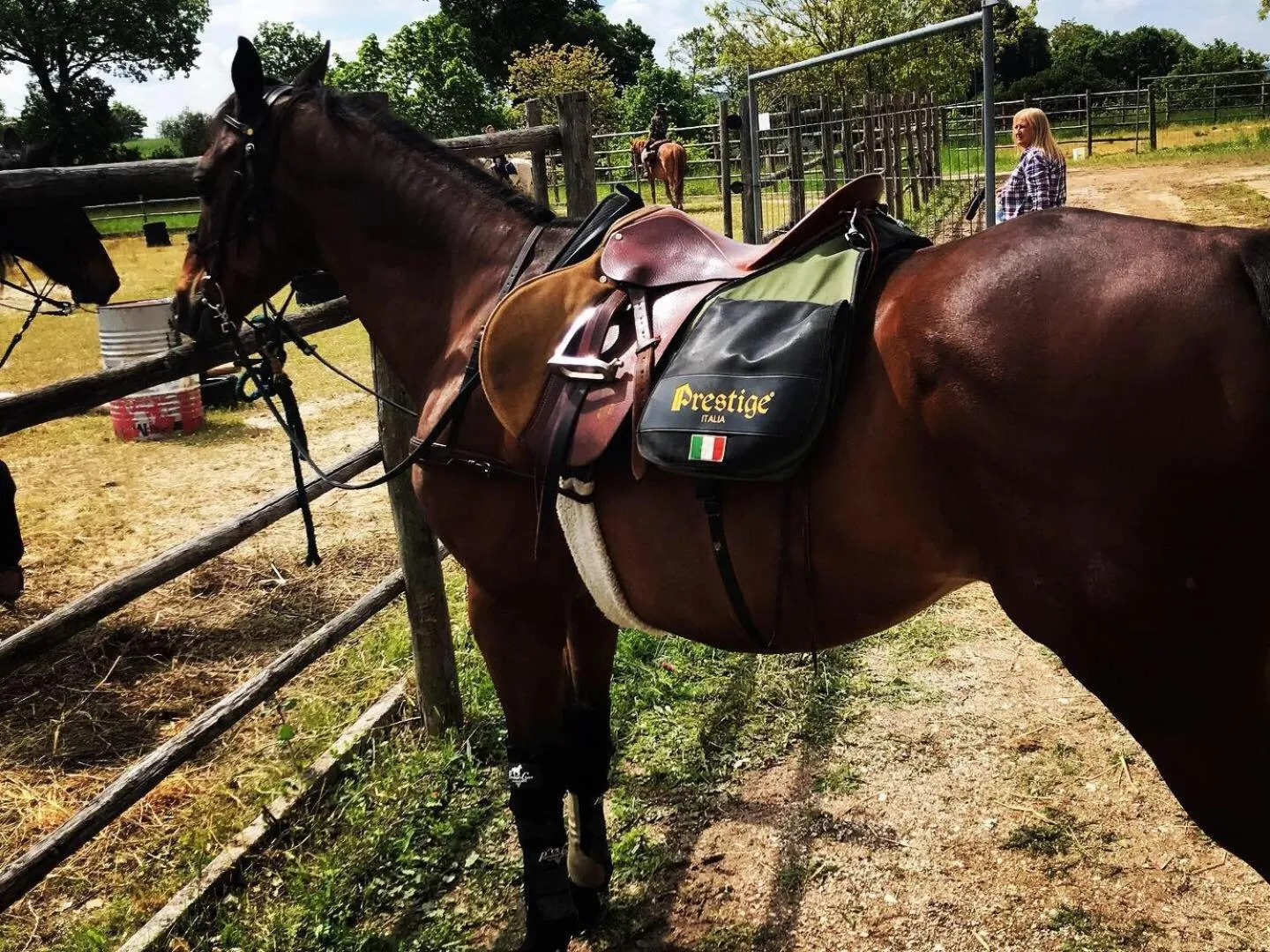 Horse-riding in Castello Cortevecchio