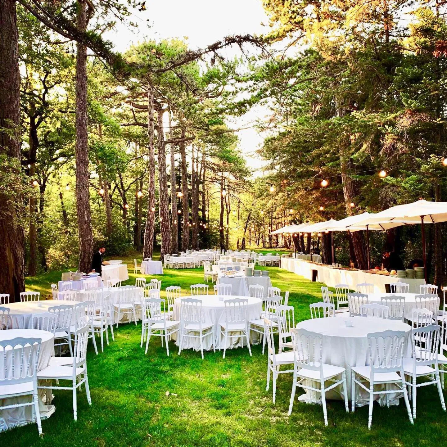 Restaurant/places to eat in Castello Cortevecchio