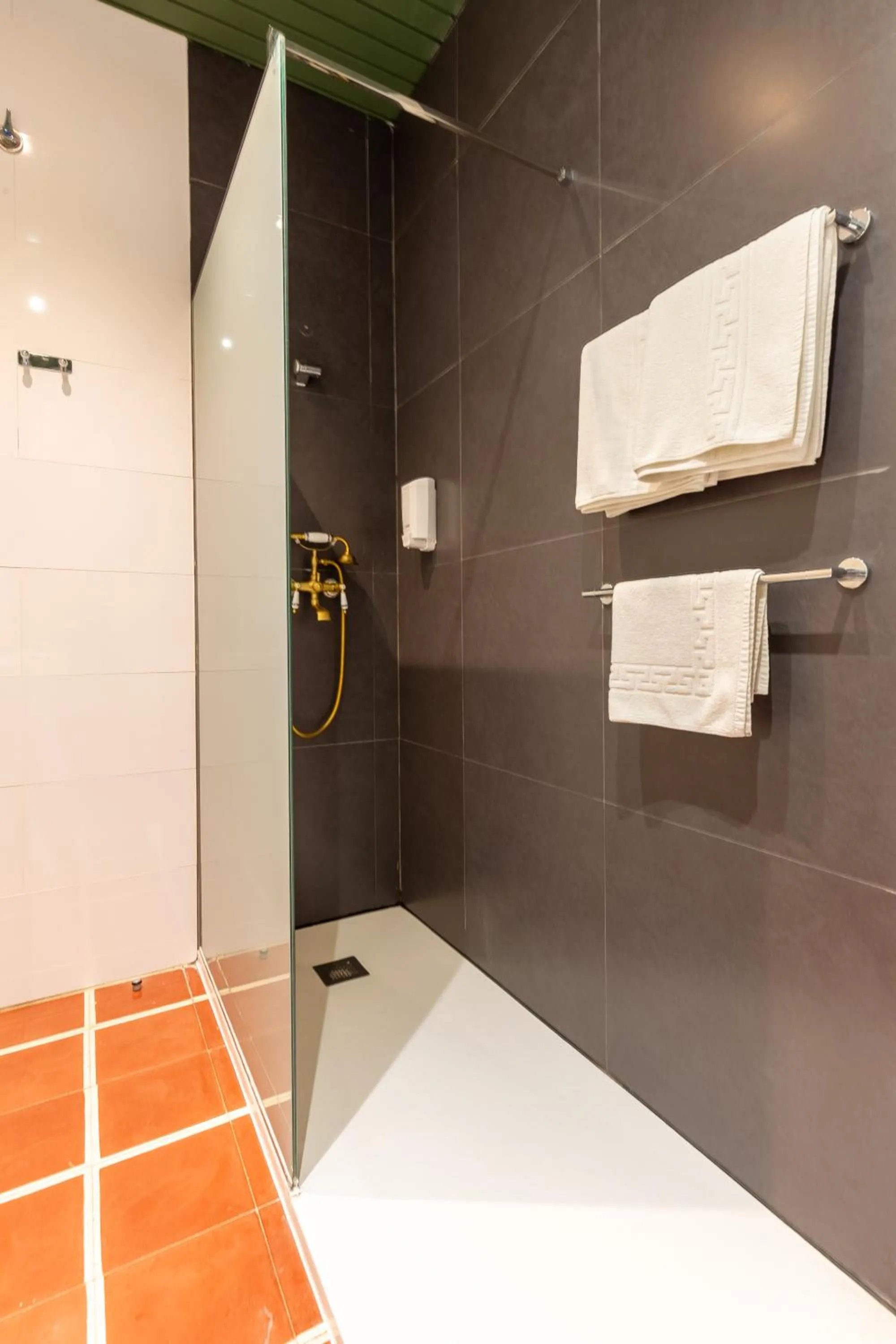 Shower in Els Jardins De La Martana