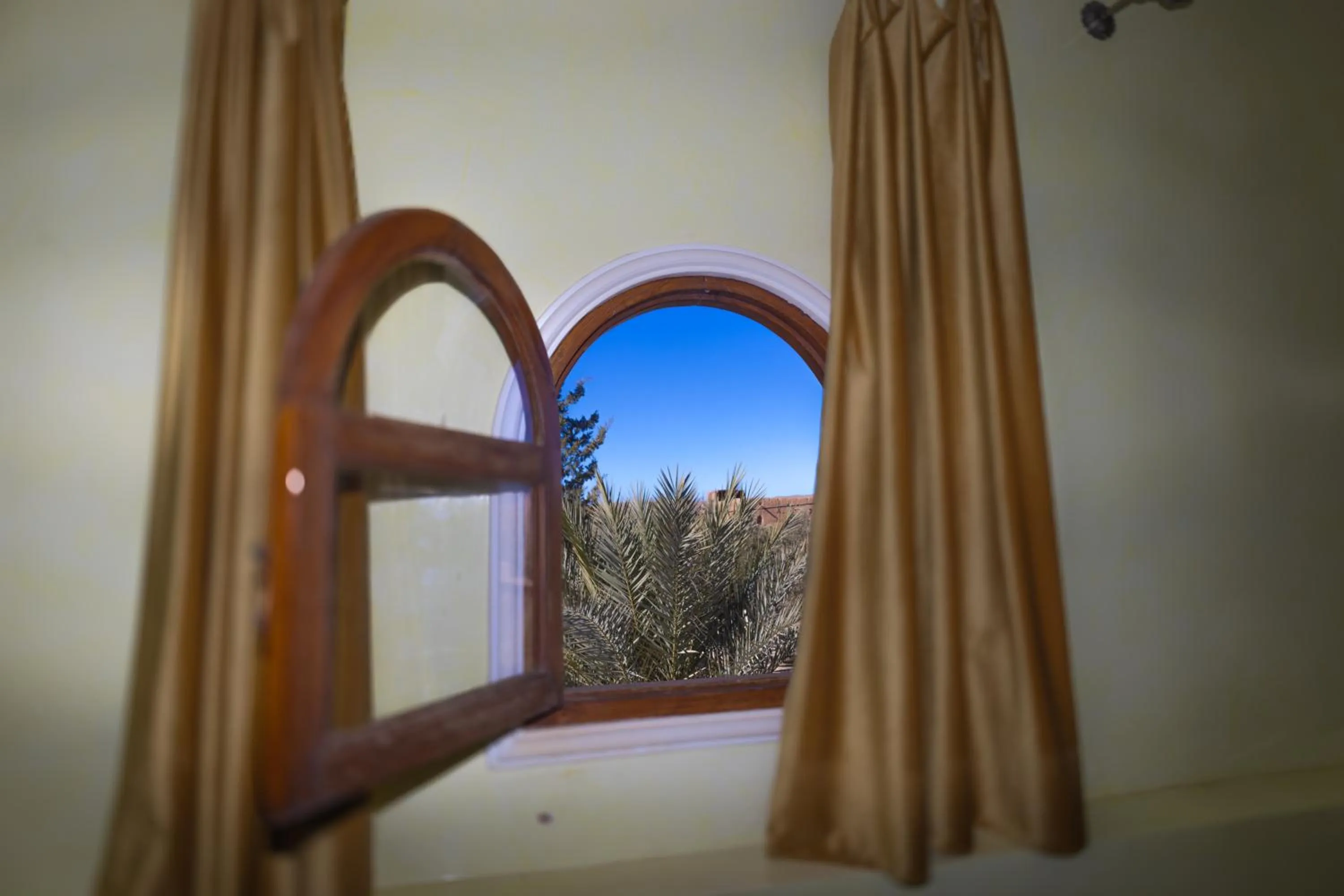 Garden in Bassatine Skoura