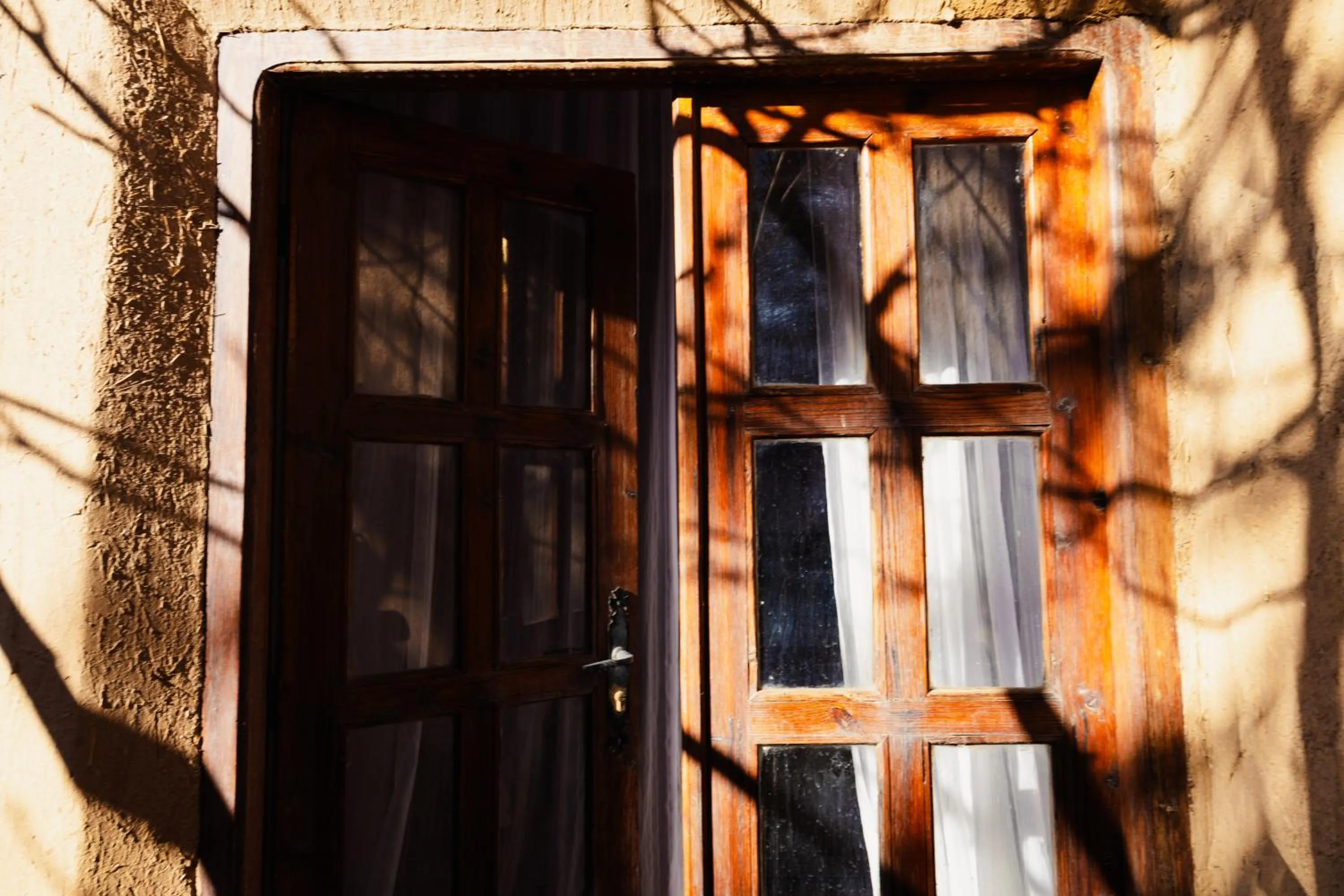 Garden in Bassatine Skoura