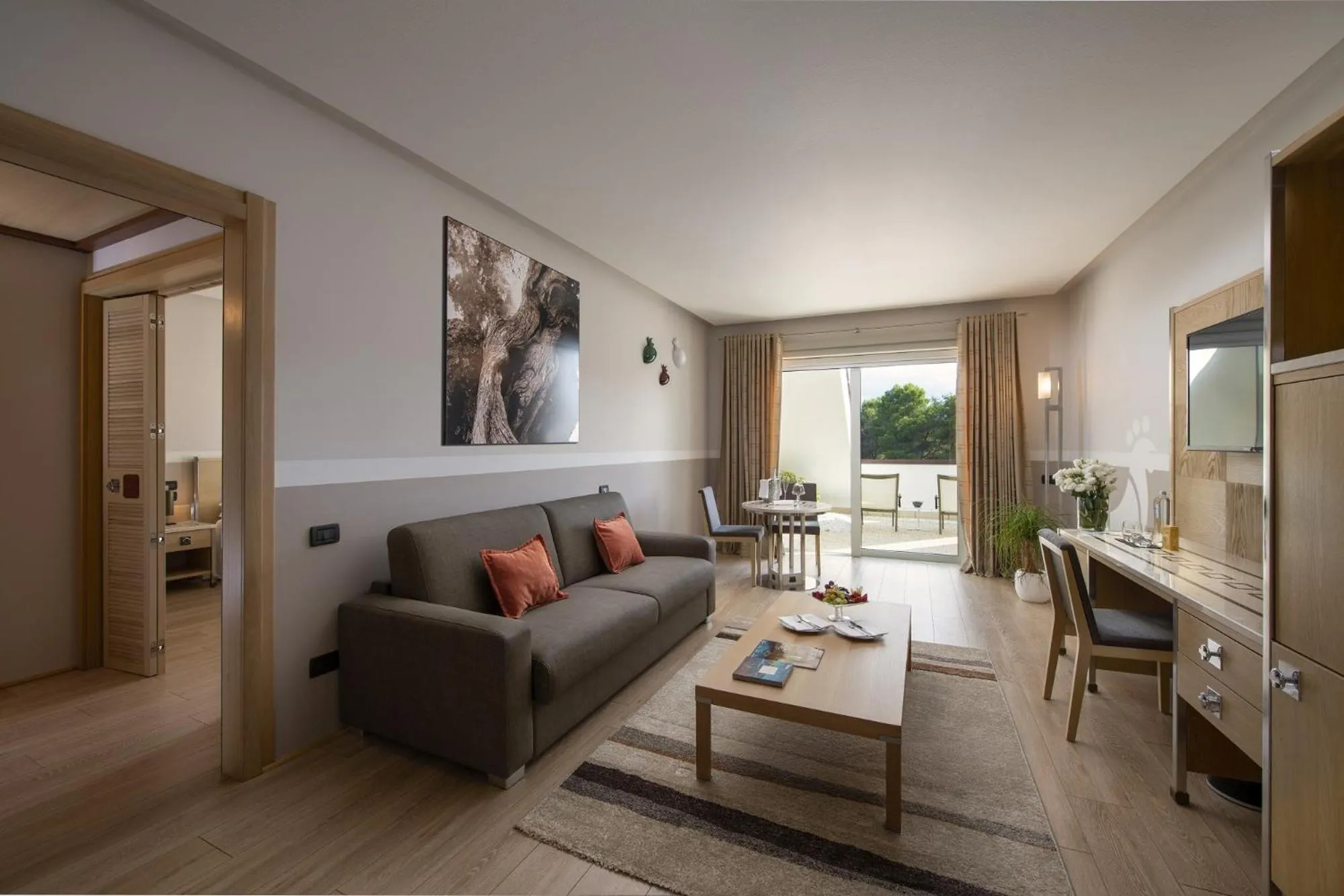 TV and multimedia in Ethra Reserve Kalidria