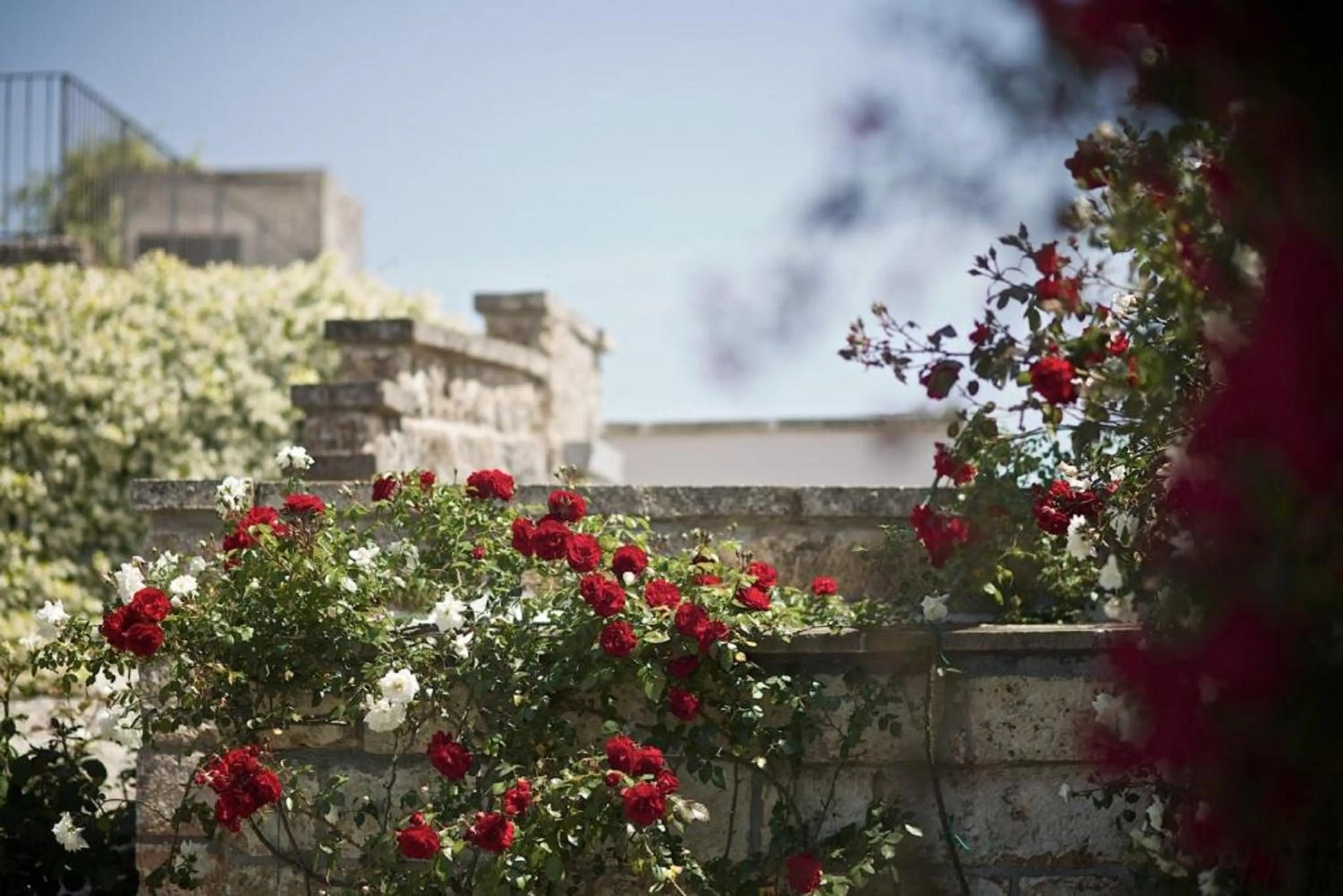 Garden in Tenuta Monacelli Lecce