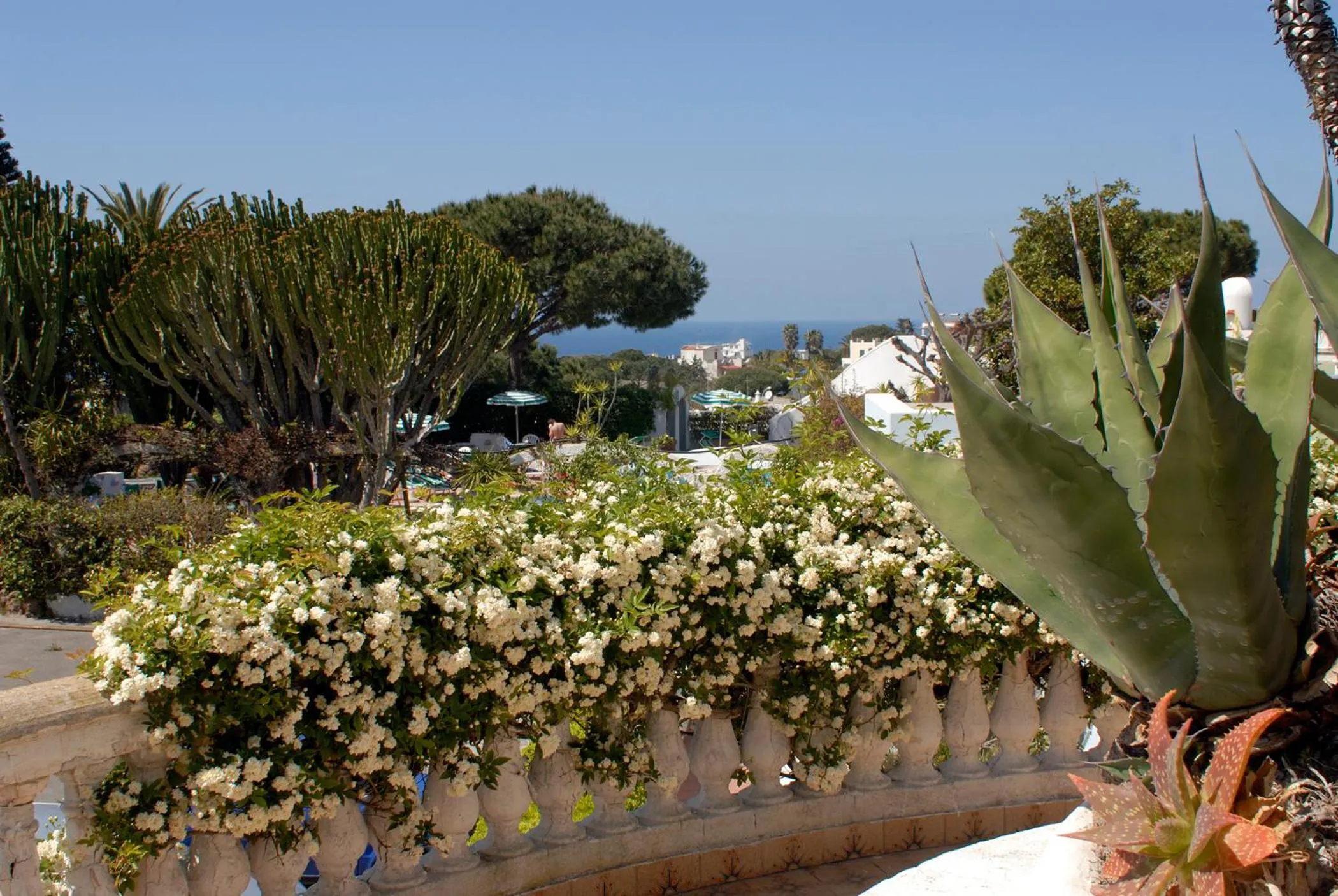 Garden in Hotel Terme Villa Teresa