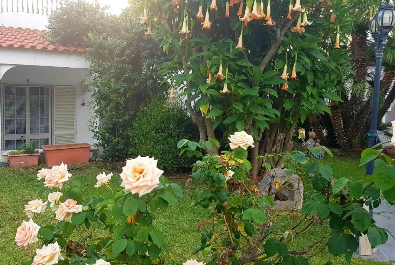 Hotel Terme Villa Teresa