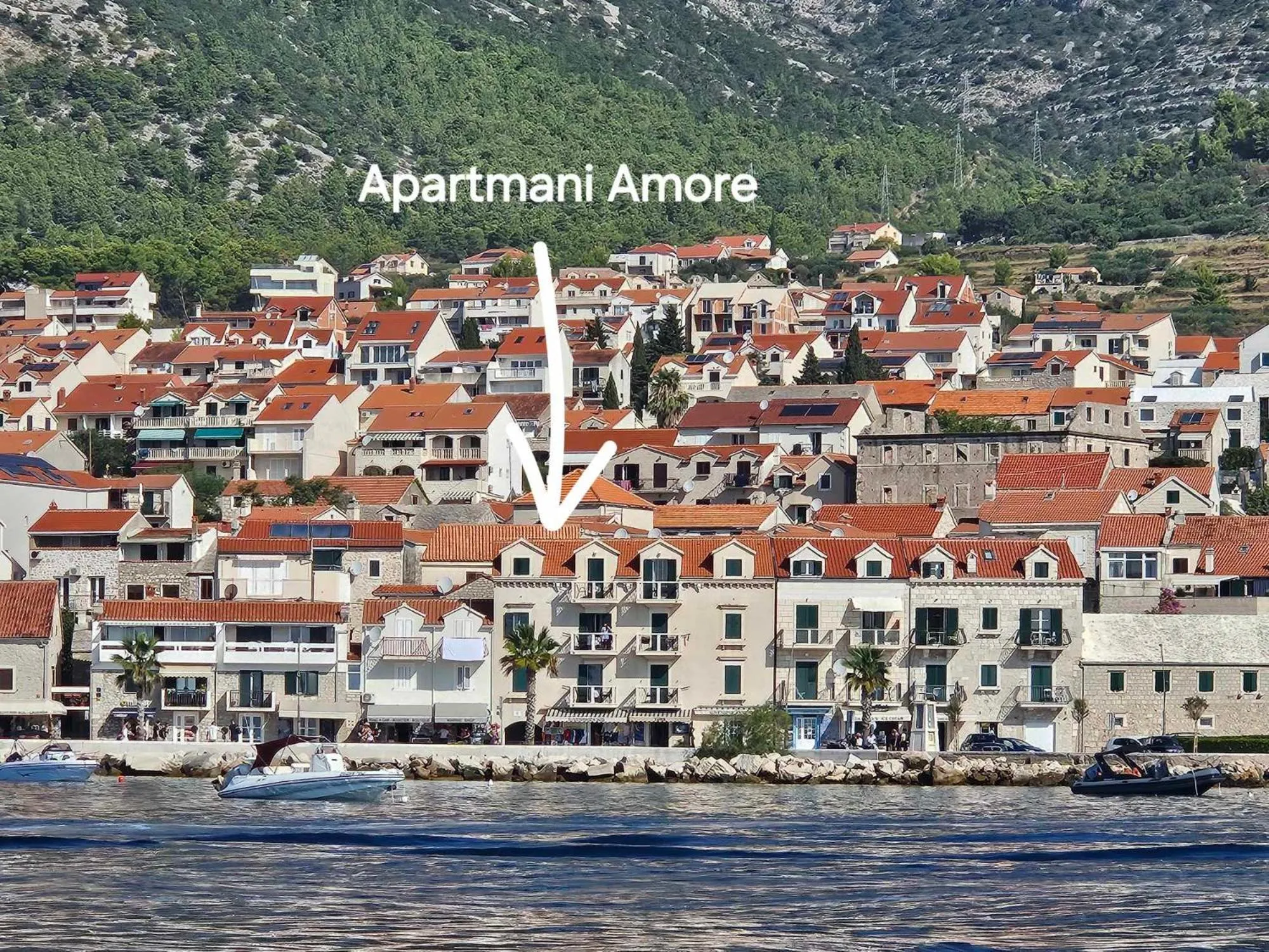 Apartments AMORE