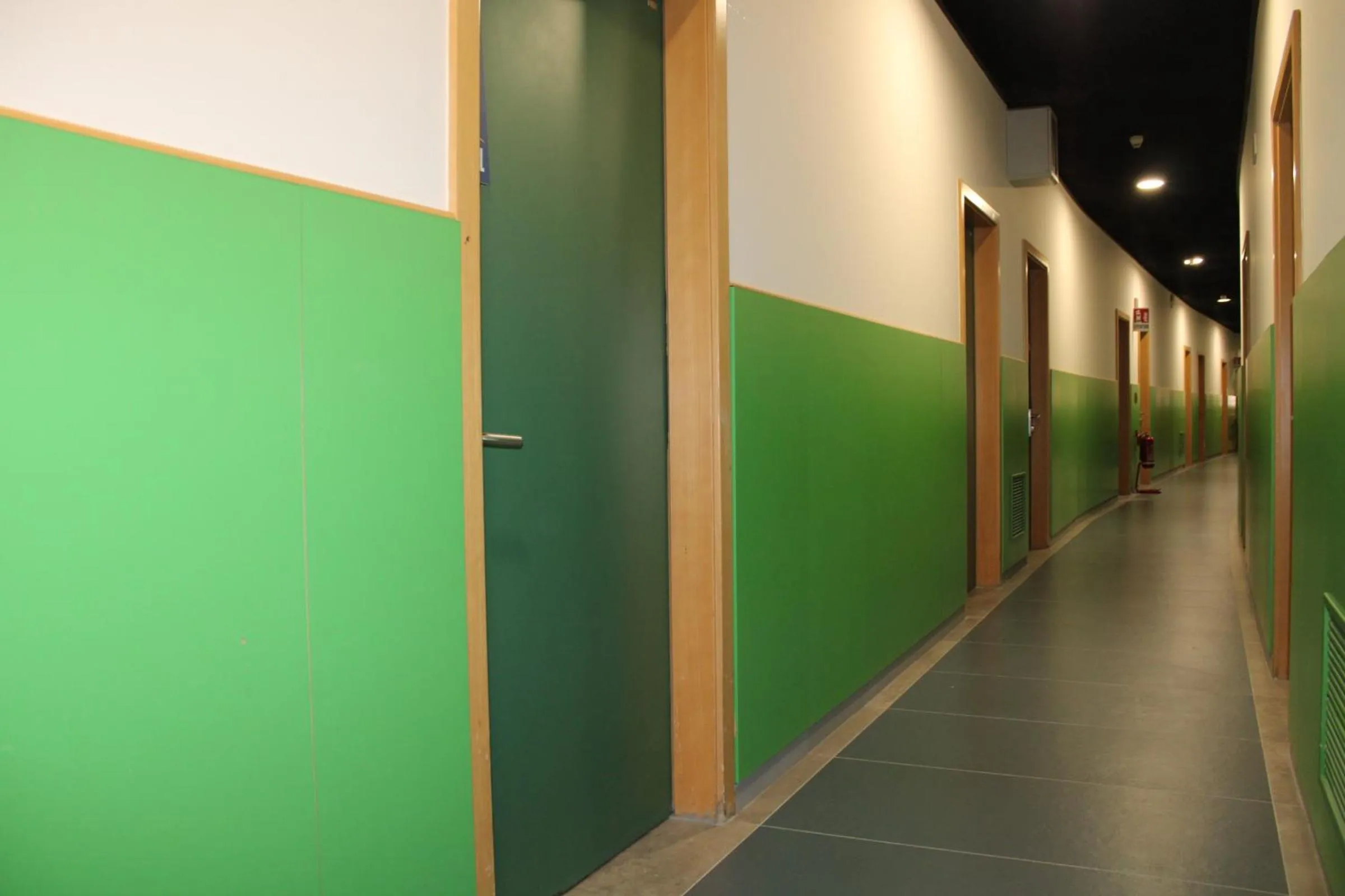 Decorative detail in Roma Scout Center