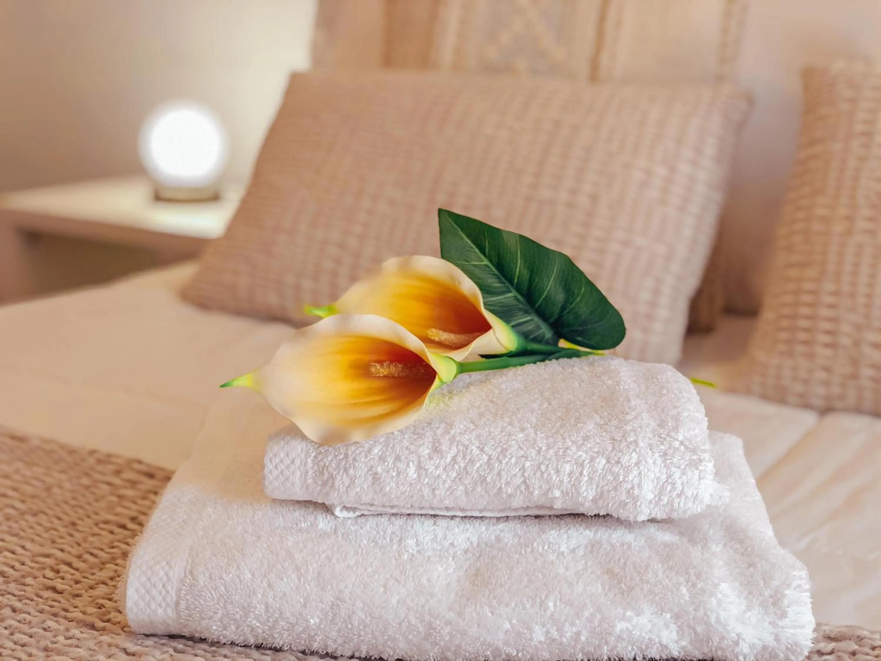 Bed in Pensión As Burgas