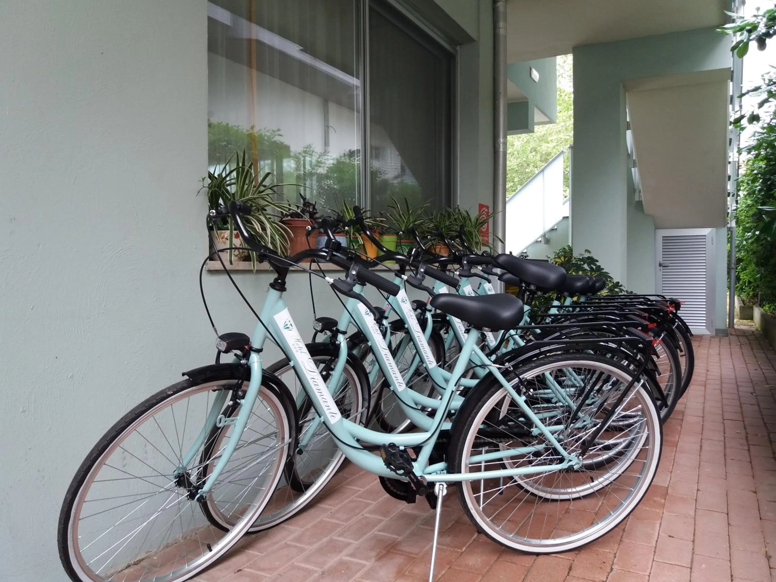 Cycling in Hotel Diamante