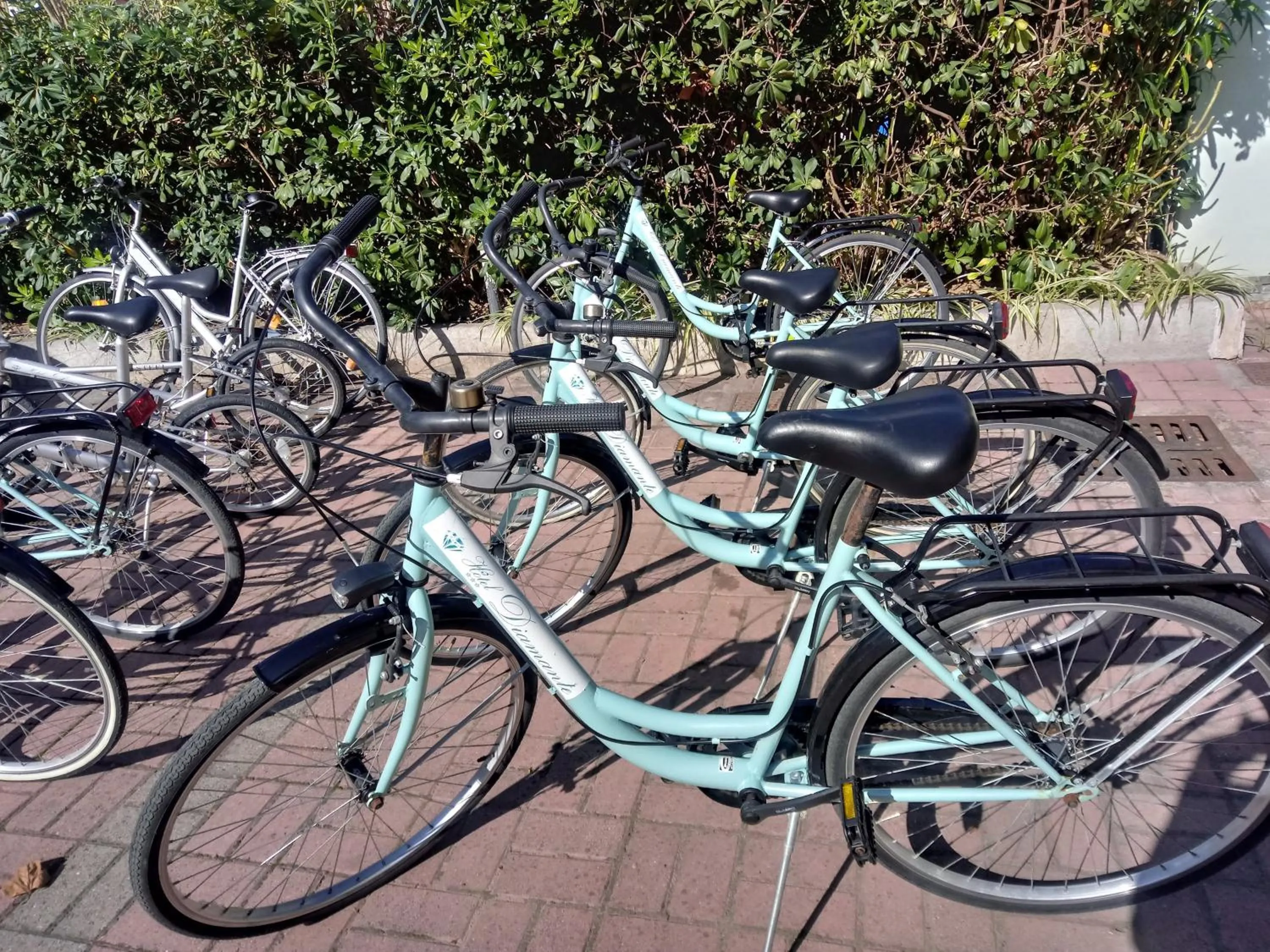 Activities in Hotel Diamante