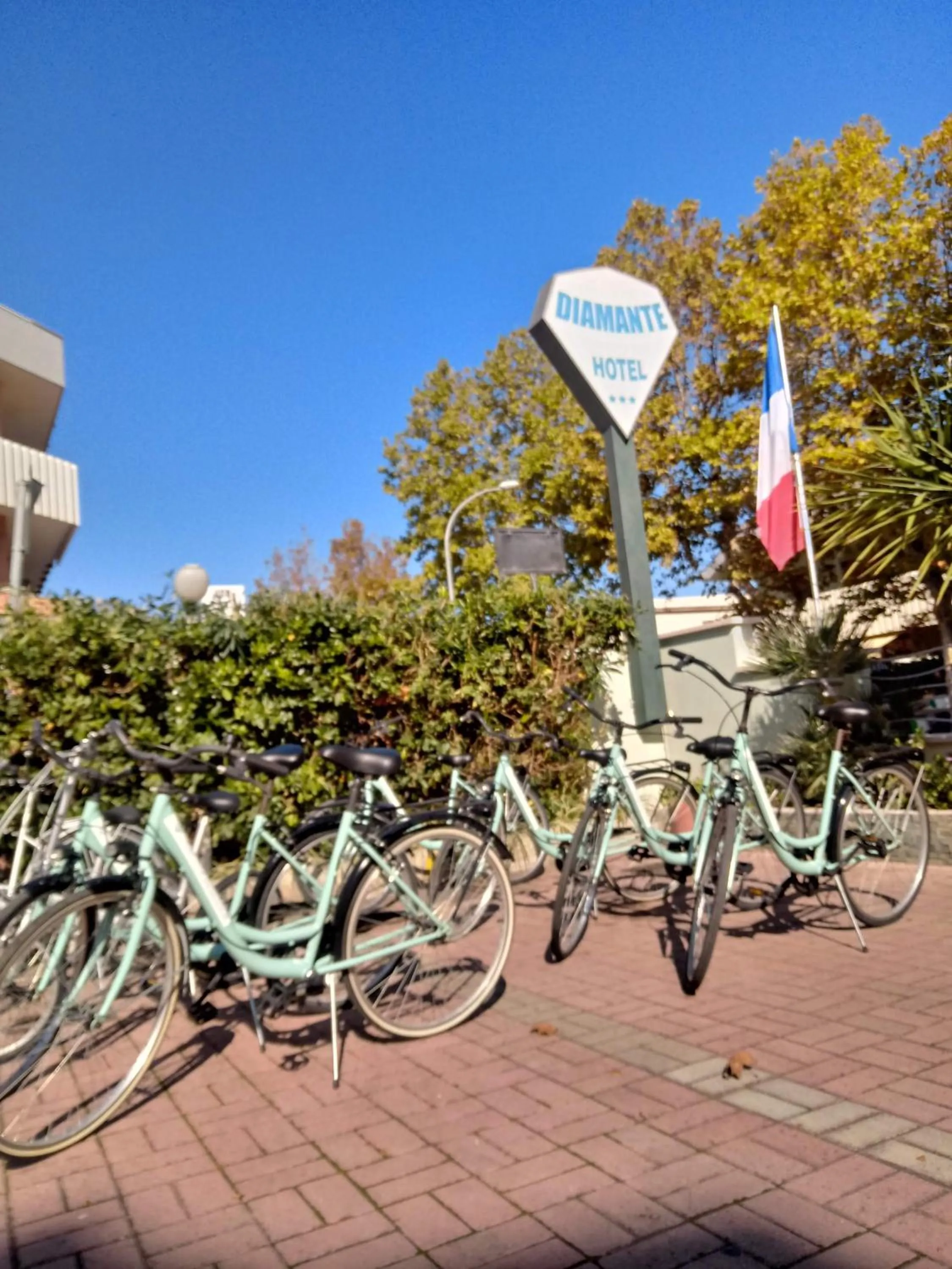 Activities in Hotel Diamante