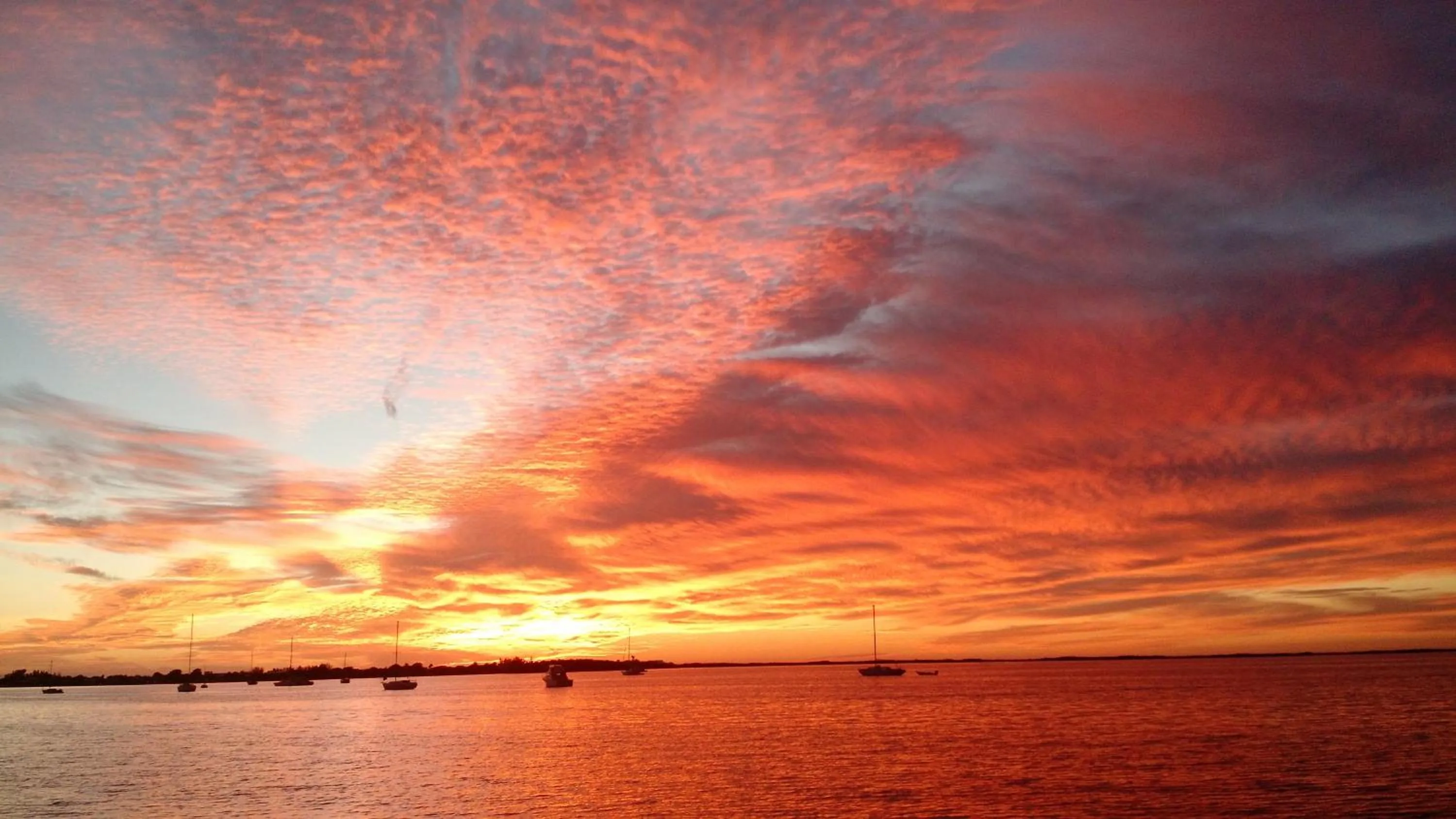 Beach in Key Largo Cottages