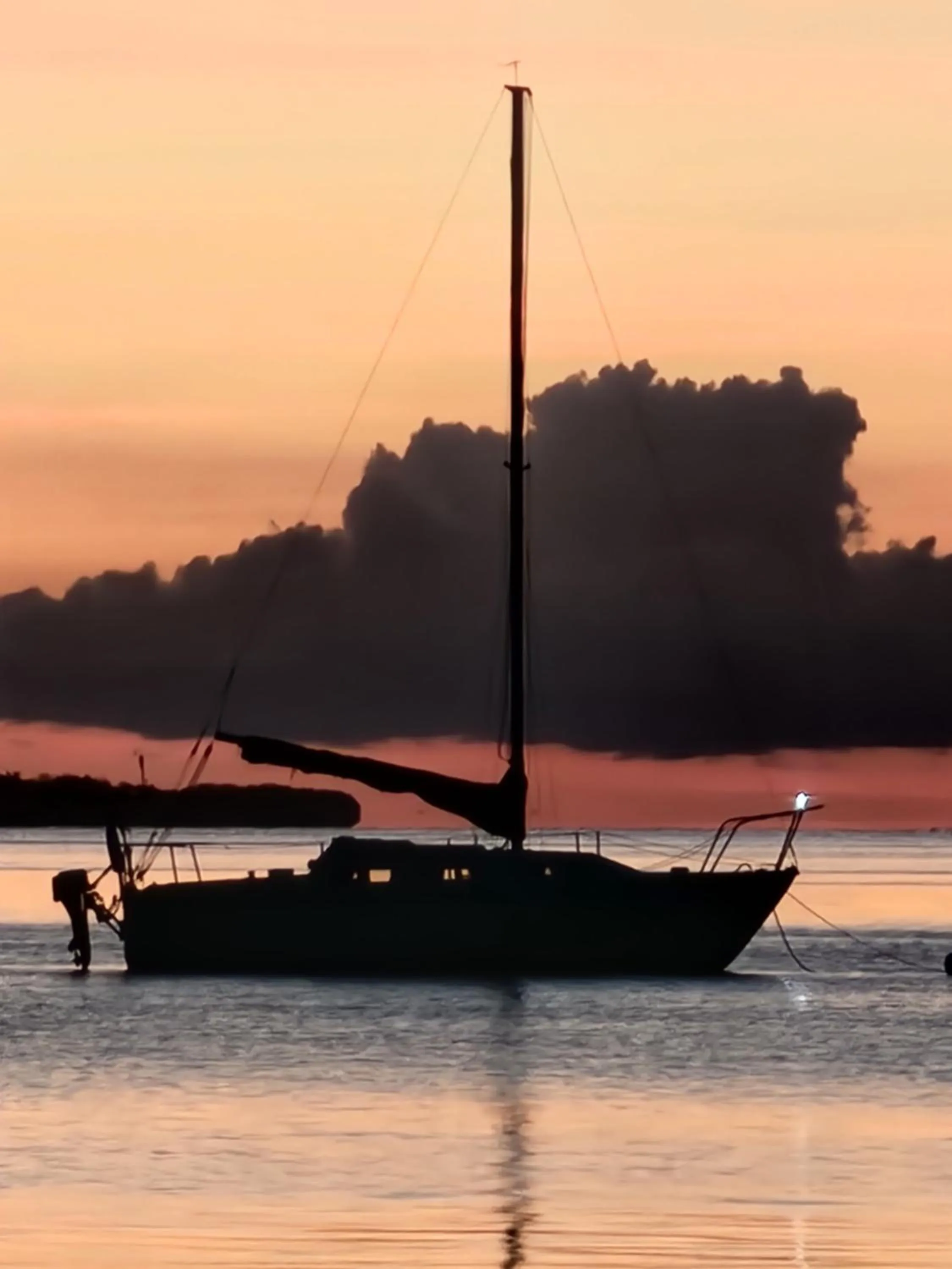 Activities in Key Largo Cottages