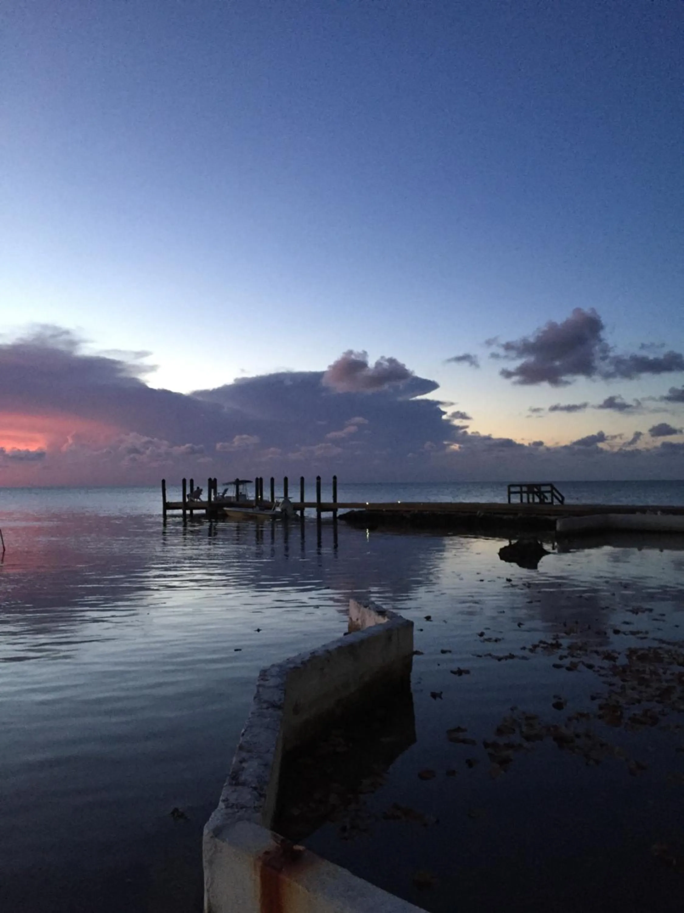 Natural landscape in Key Largo Cottages