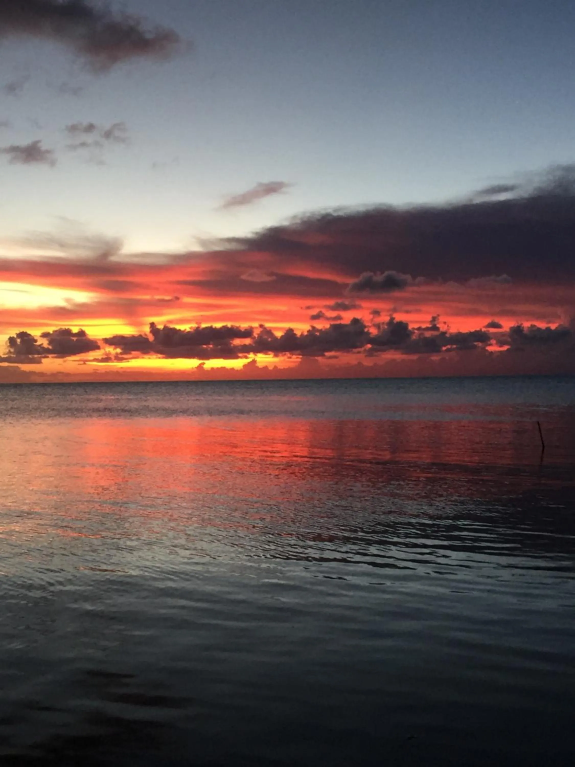 Natural landscape in Key Largo Cottages
