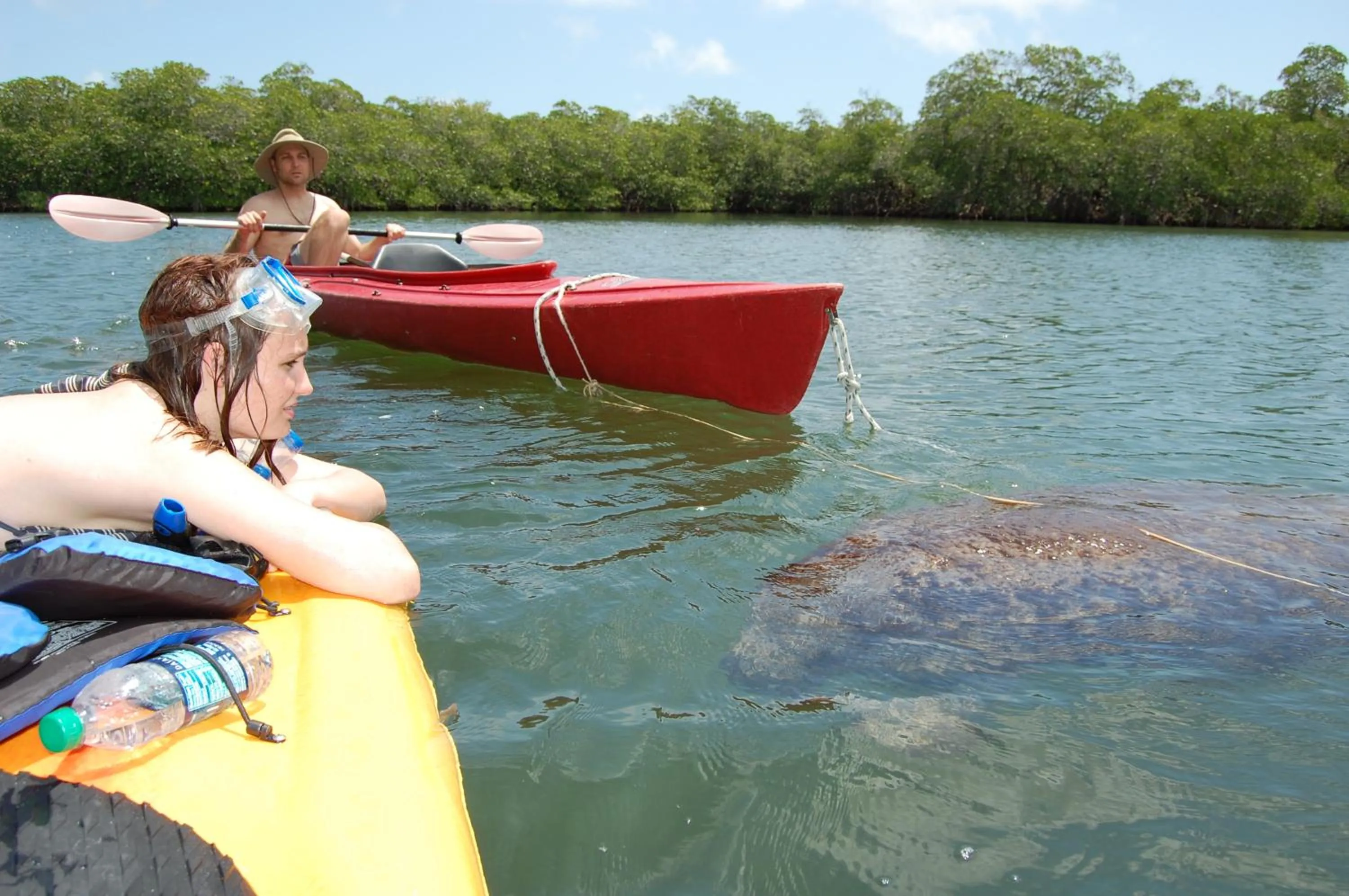 Activities in Key Largo Cottages