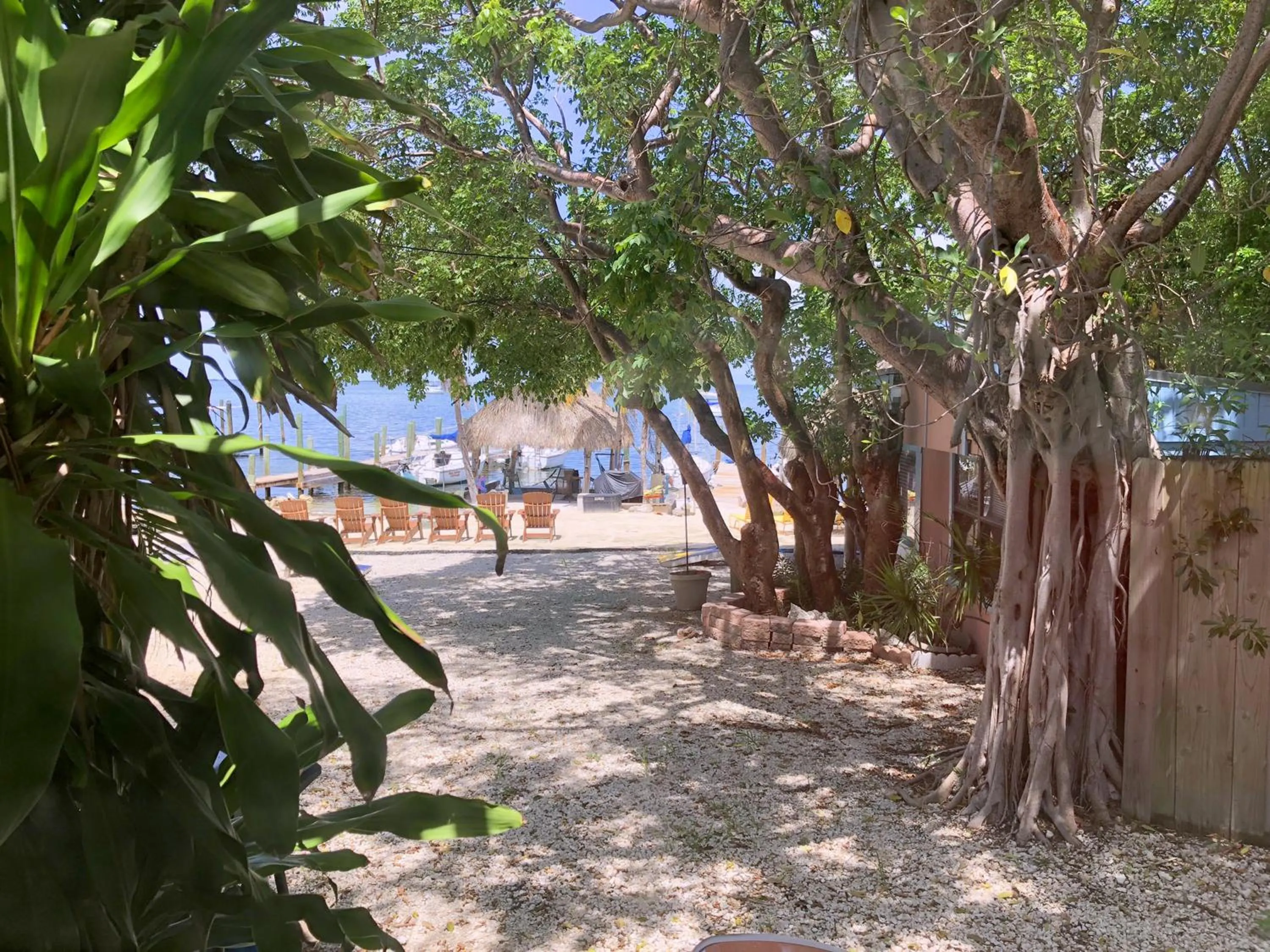 Garden in Key Largo Cottages