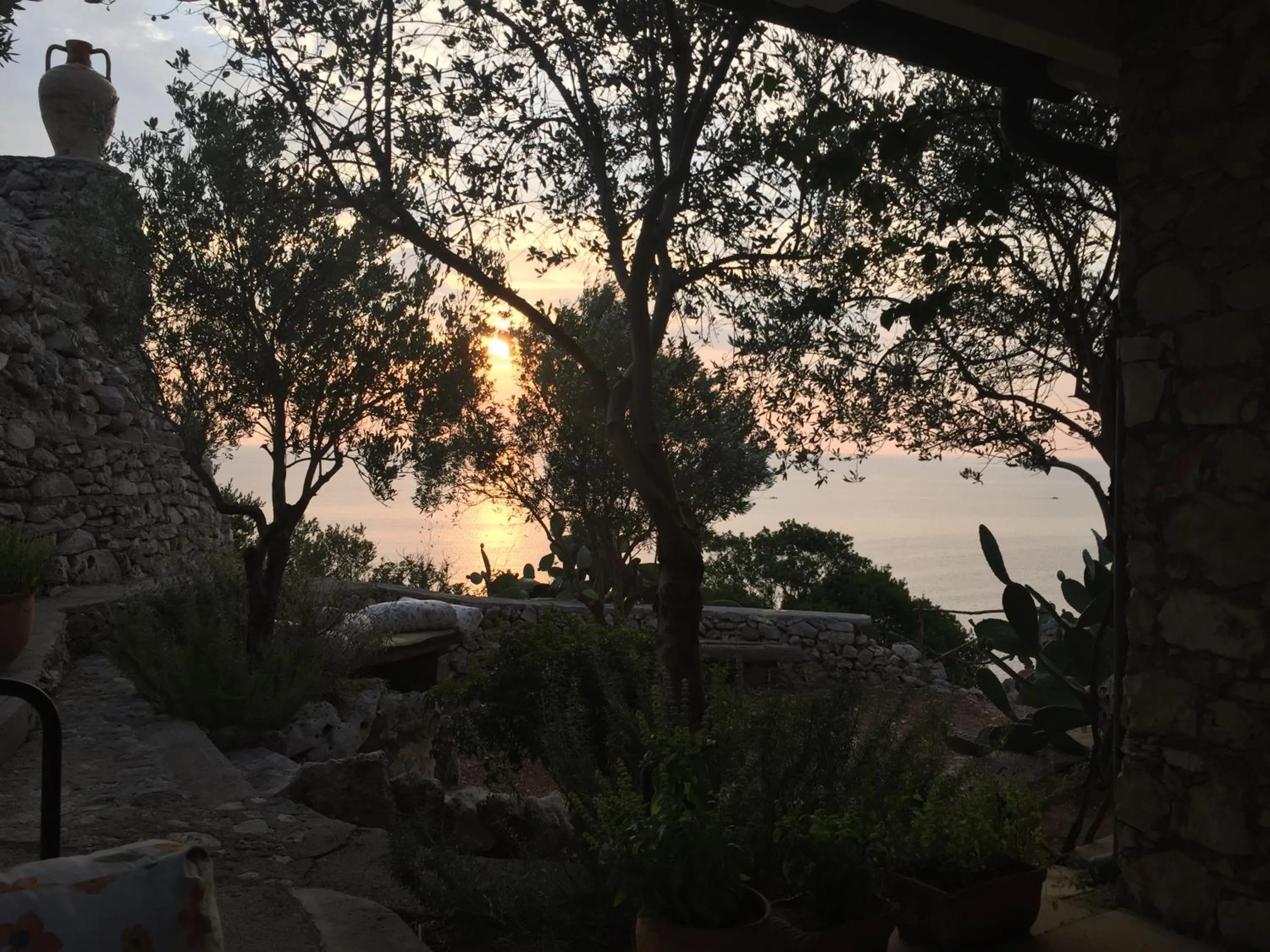 Garden in Hotel Piccolo Mondo