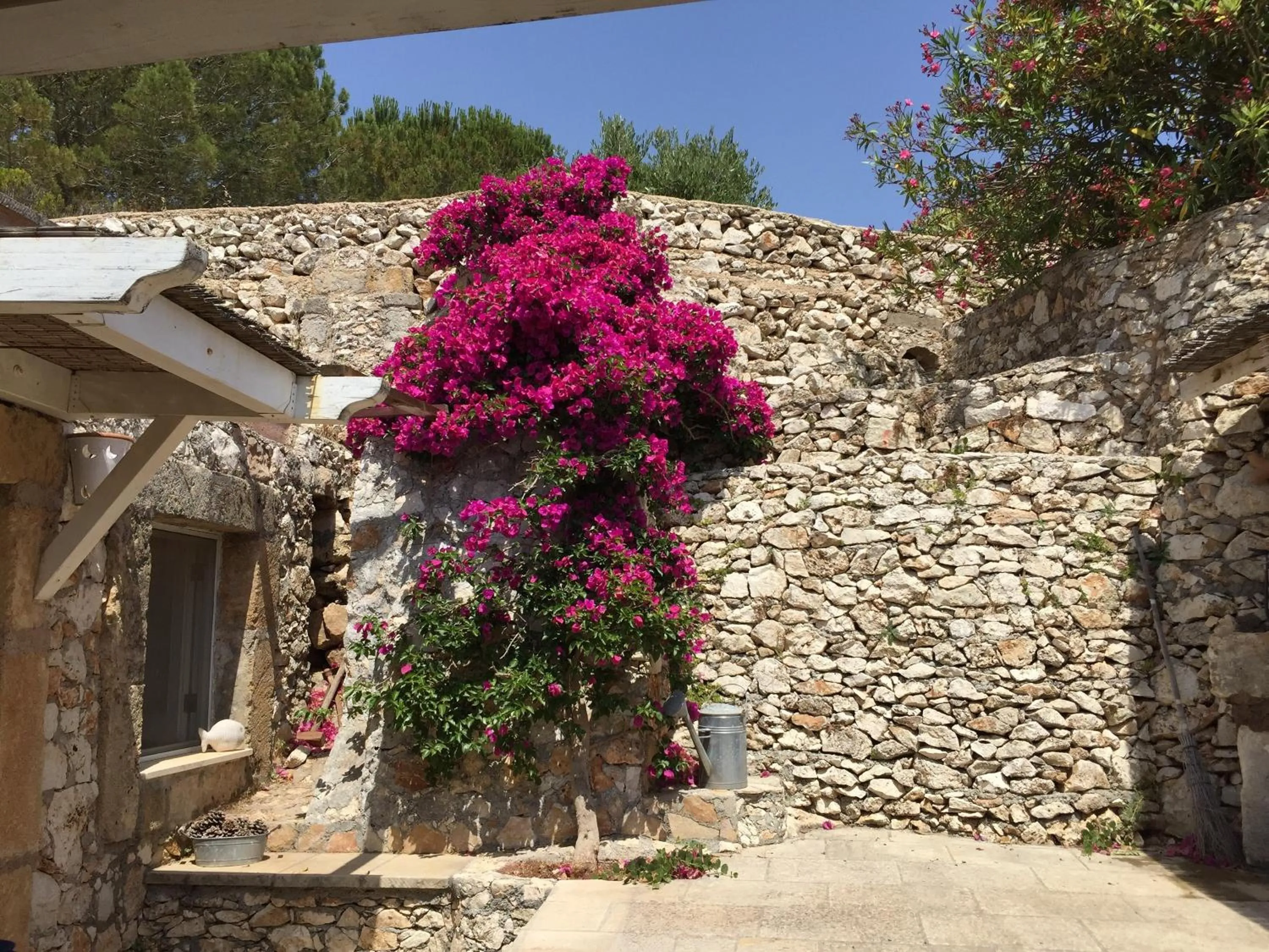 Patio in Hotel Piccolo Mondo